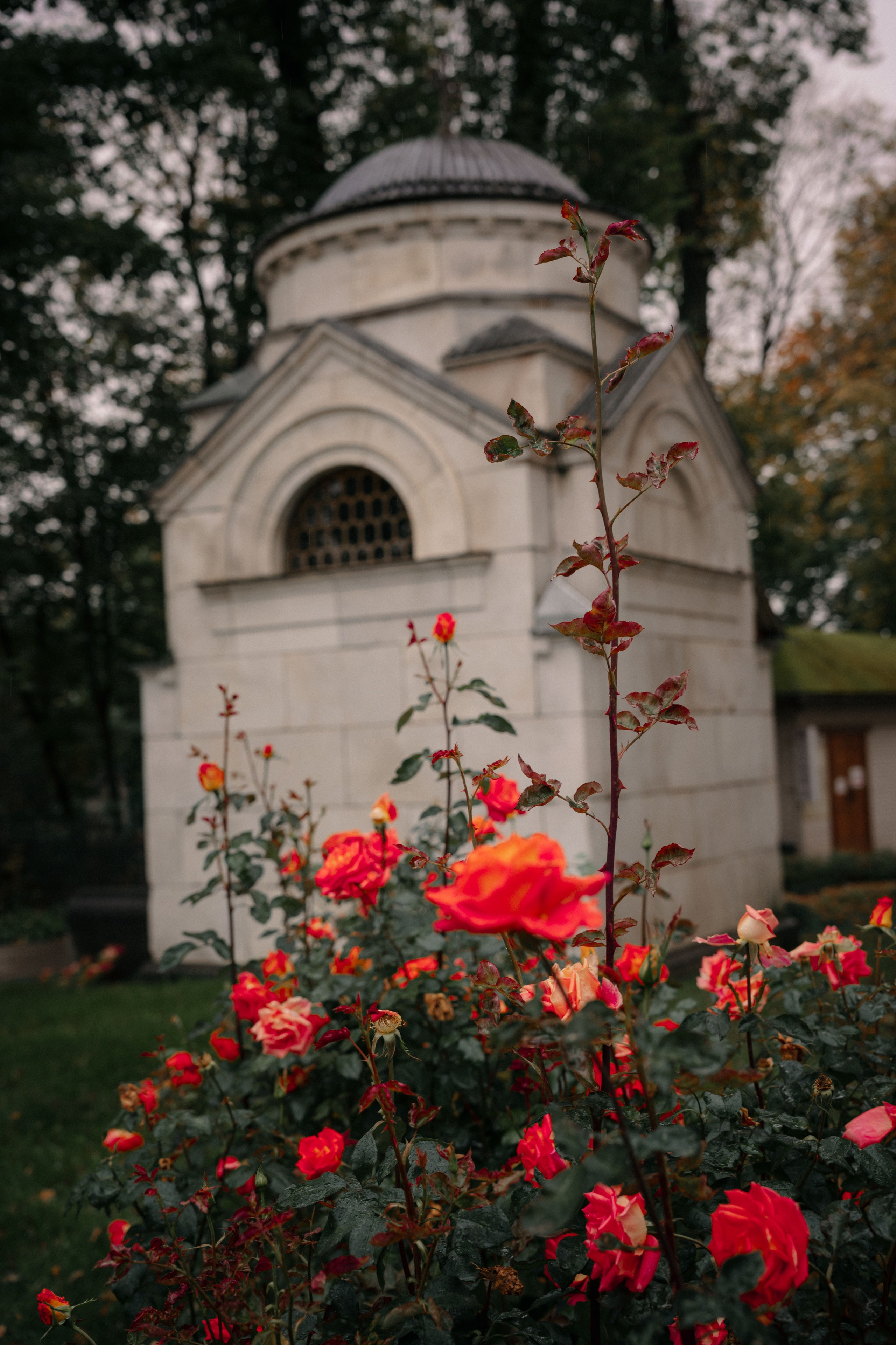 Крещение Павла