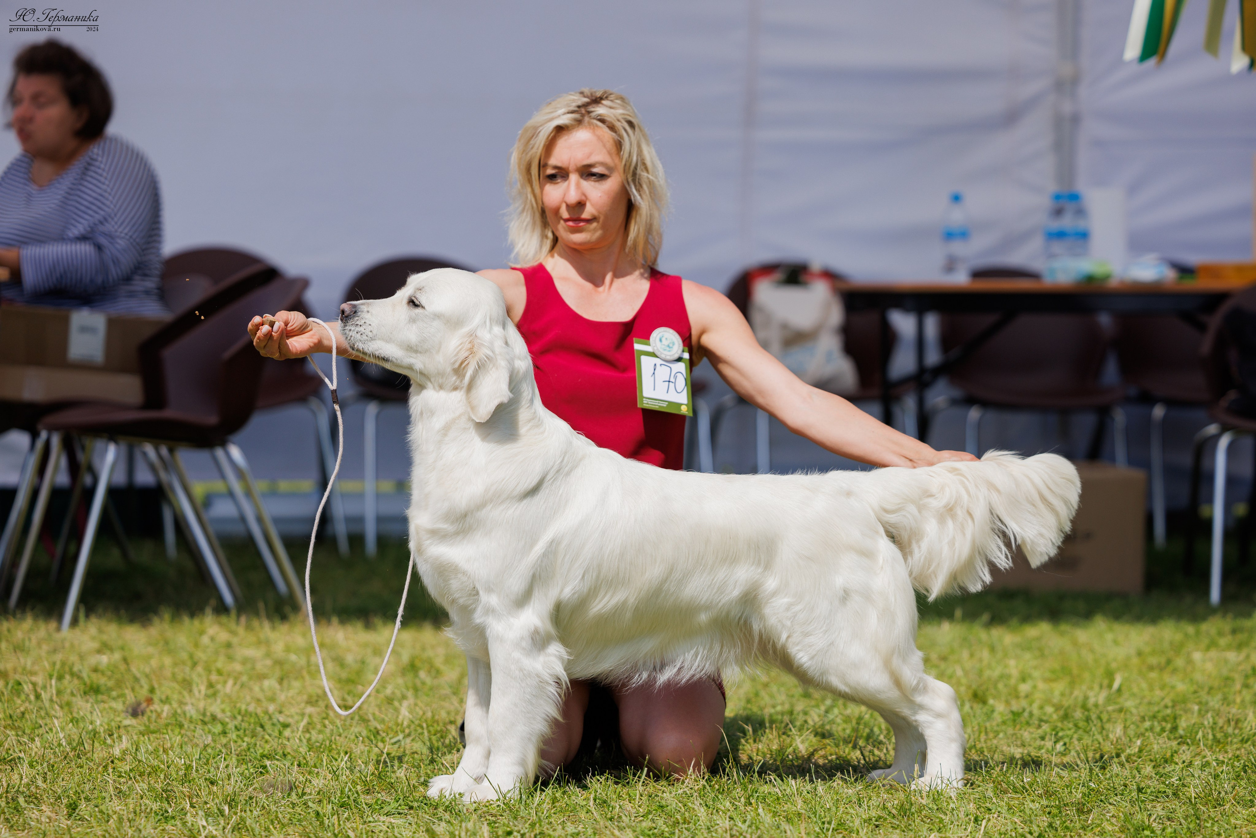 Голдены 15-16.06.2024. Фотограф-анималист Юлия Германика