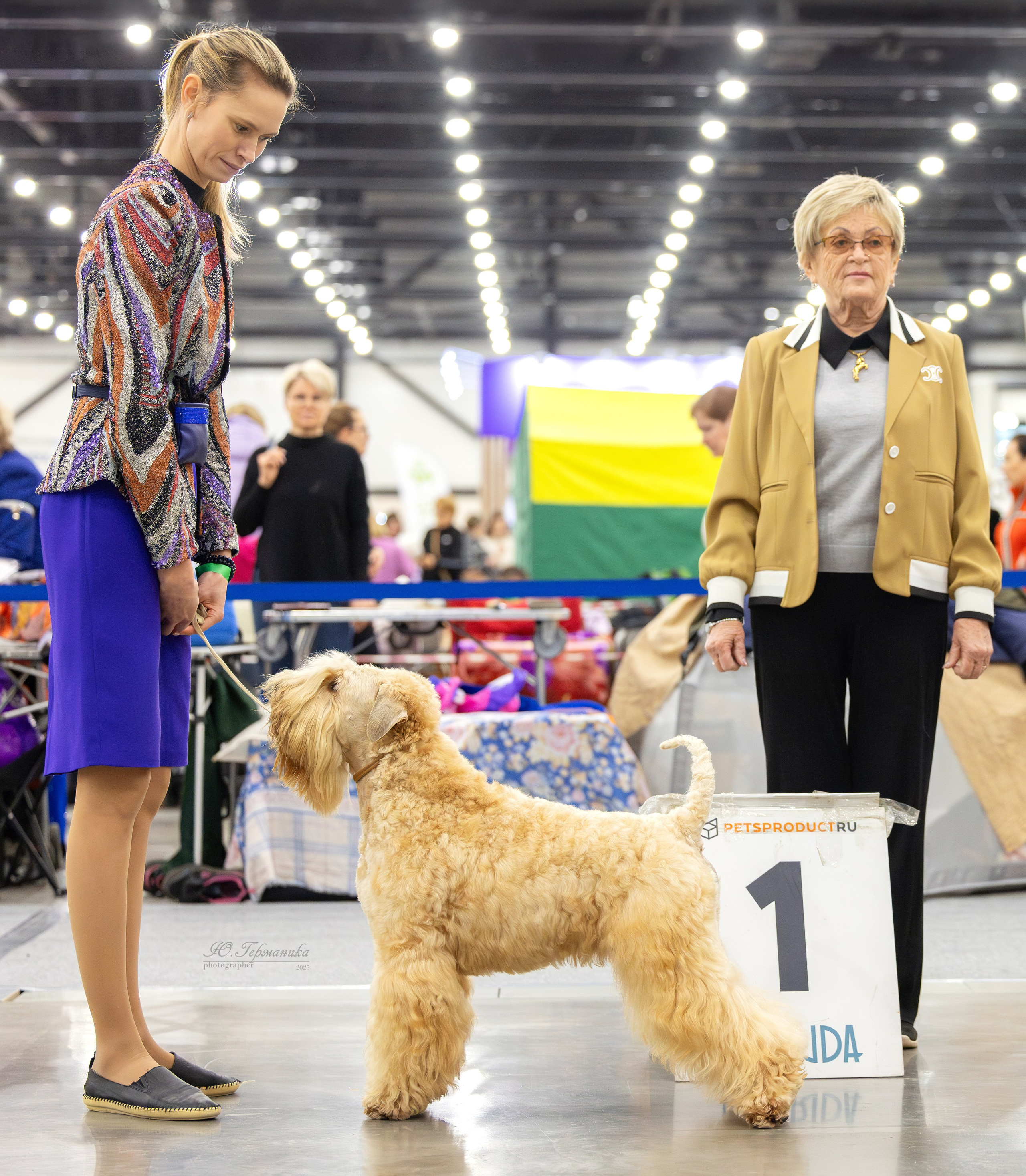 Питер 12-13.12.2025. Фотограф-анималист Юлия Германика