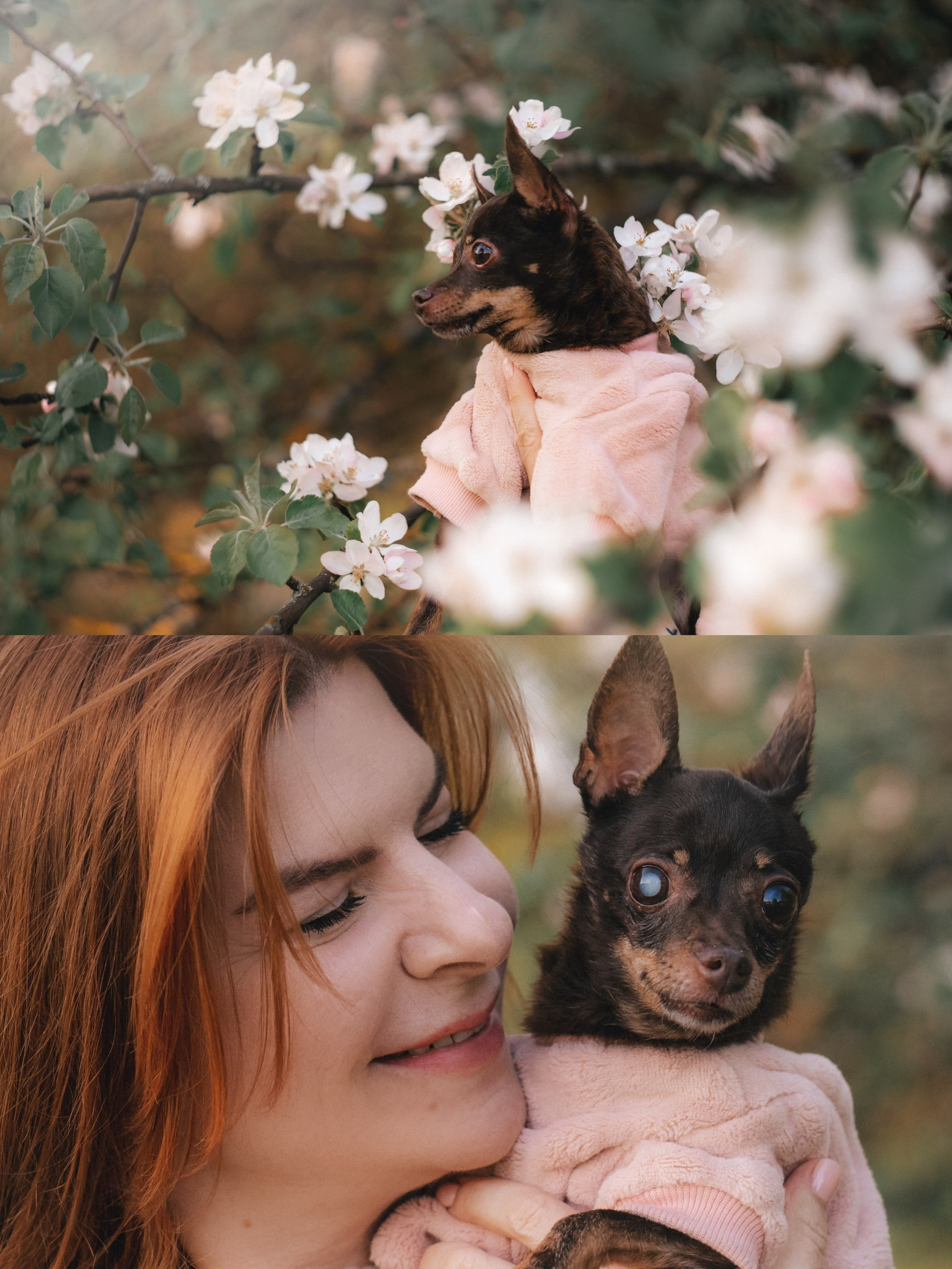 Марина и Мышка. Фотограф анималист в Москве и Санкт-Петербурге Свиридова Анна