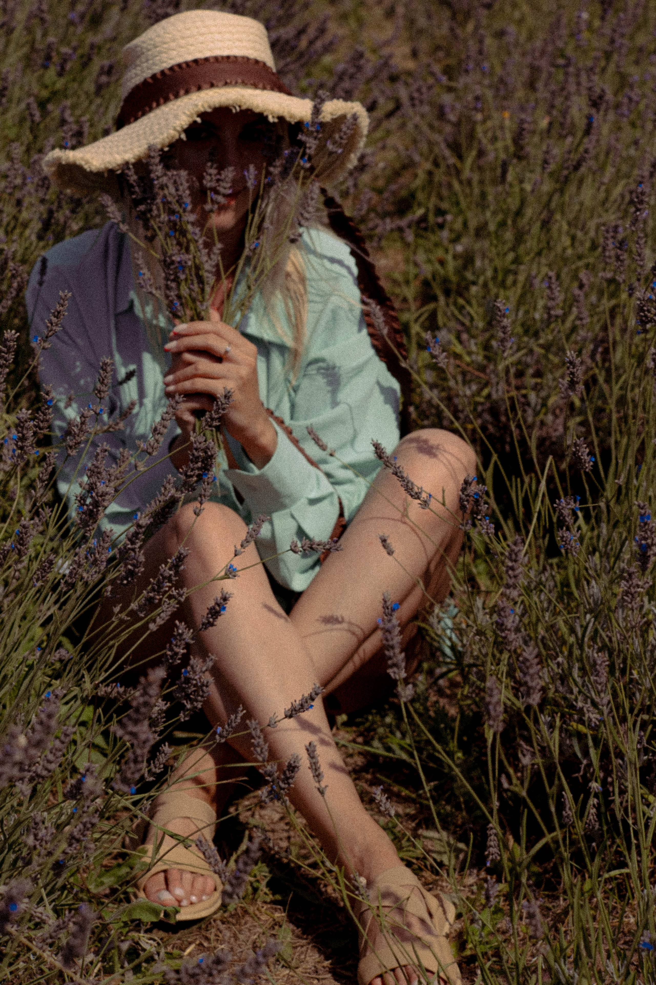 ЛАВАНВОДОВОЕ ПОЛЕ. Профессиональный фотограф, Санкт-Петербург — Виктория Богомолова