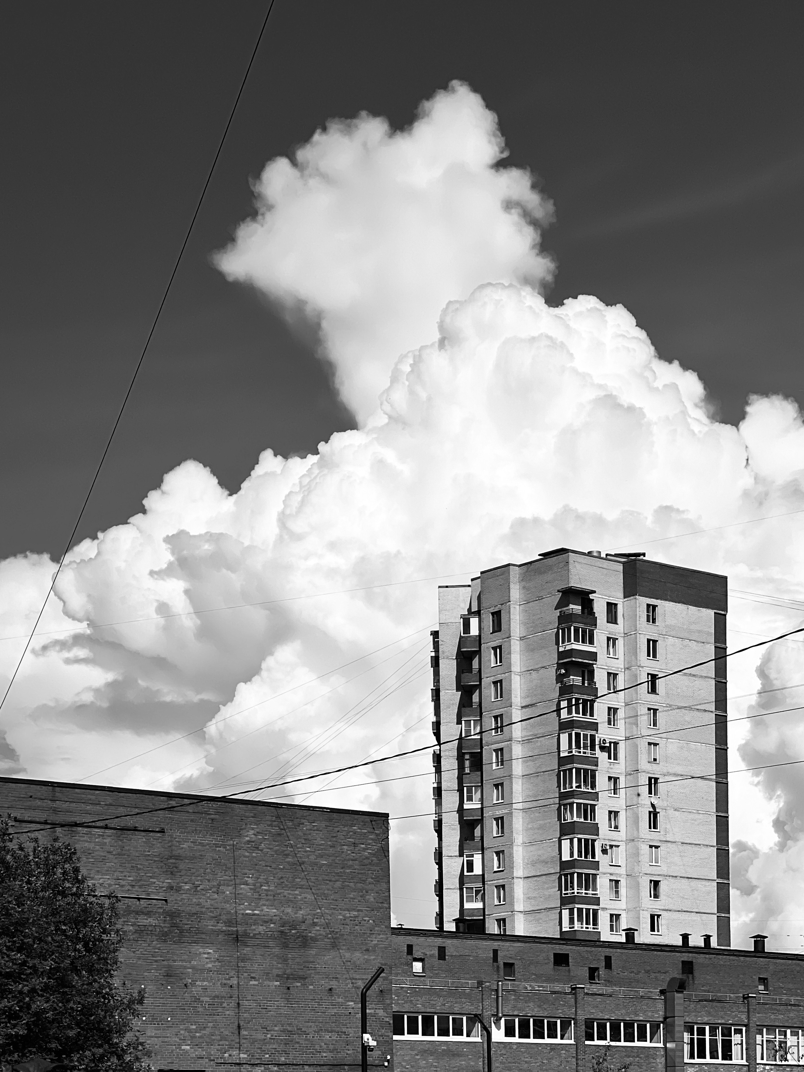Head in the clouds / Витать в облаках. Художник Катерина Копейкина / Artist Katerina Kopeikina