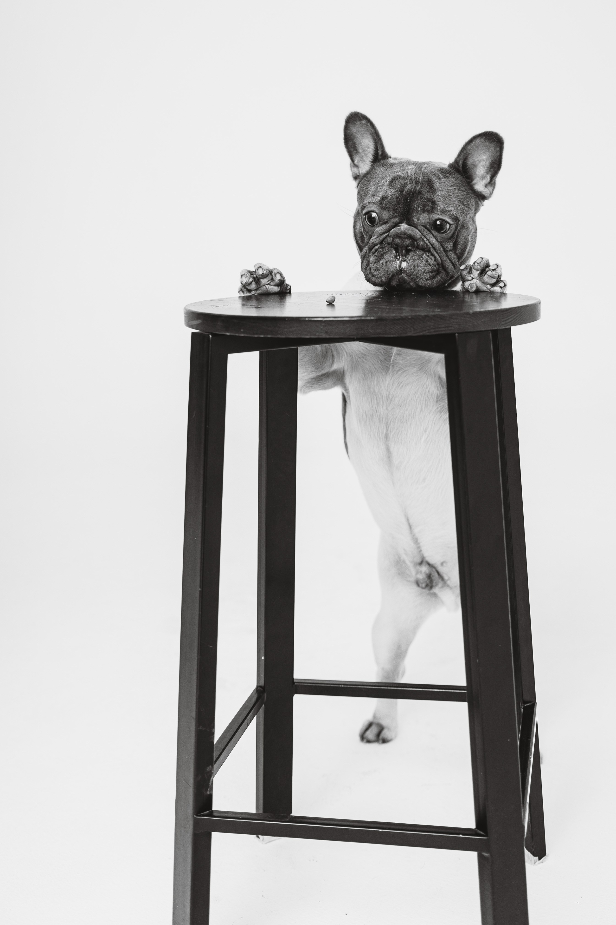 Екатерина, Виталий и Ричи