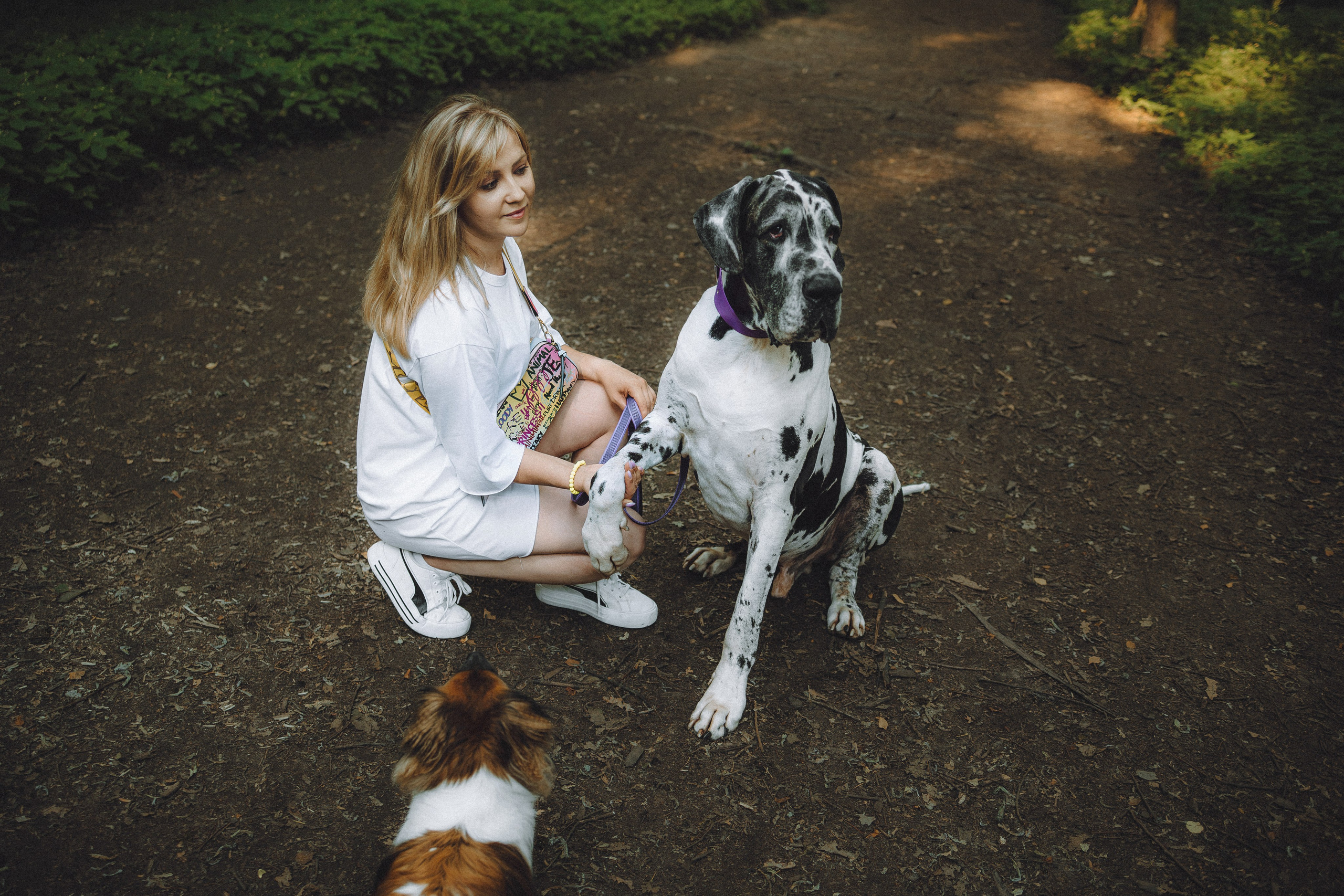 Катя, Андрей, Гектор, Ричи, Тортик и Трой