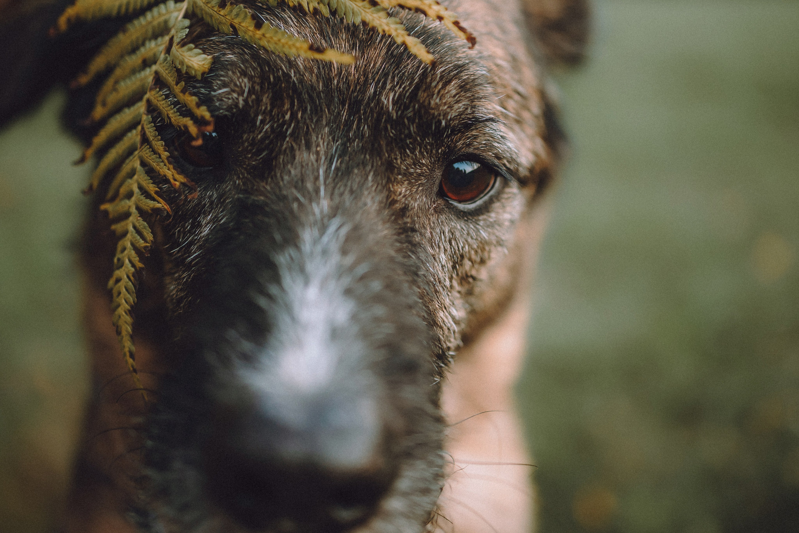 Рик, Джек и их семья