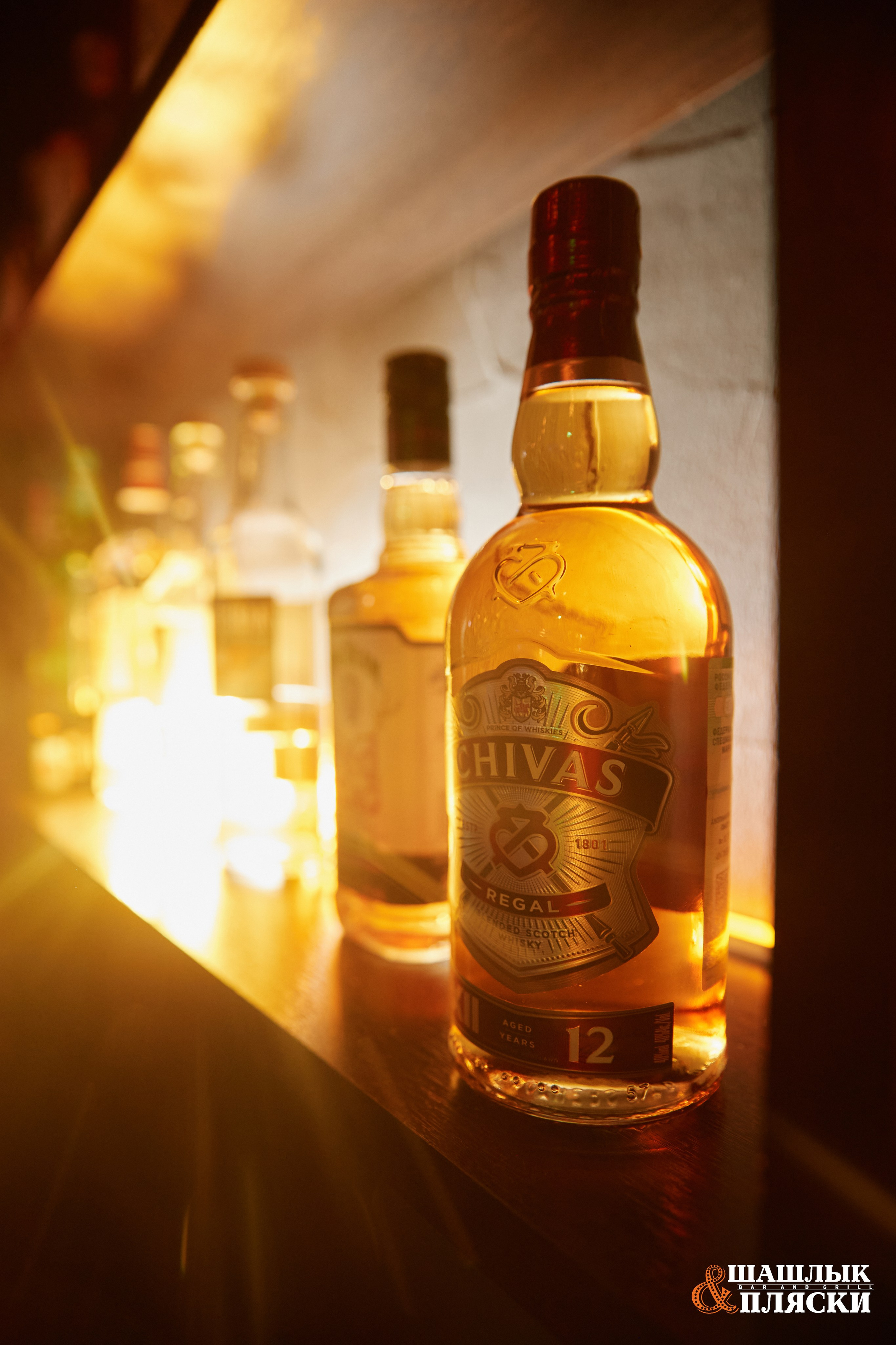 Шашлык & Пляски. Фотограф и видеограф в Кургане Леонид Корнильев