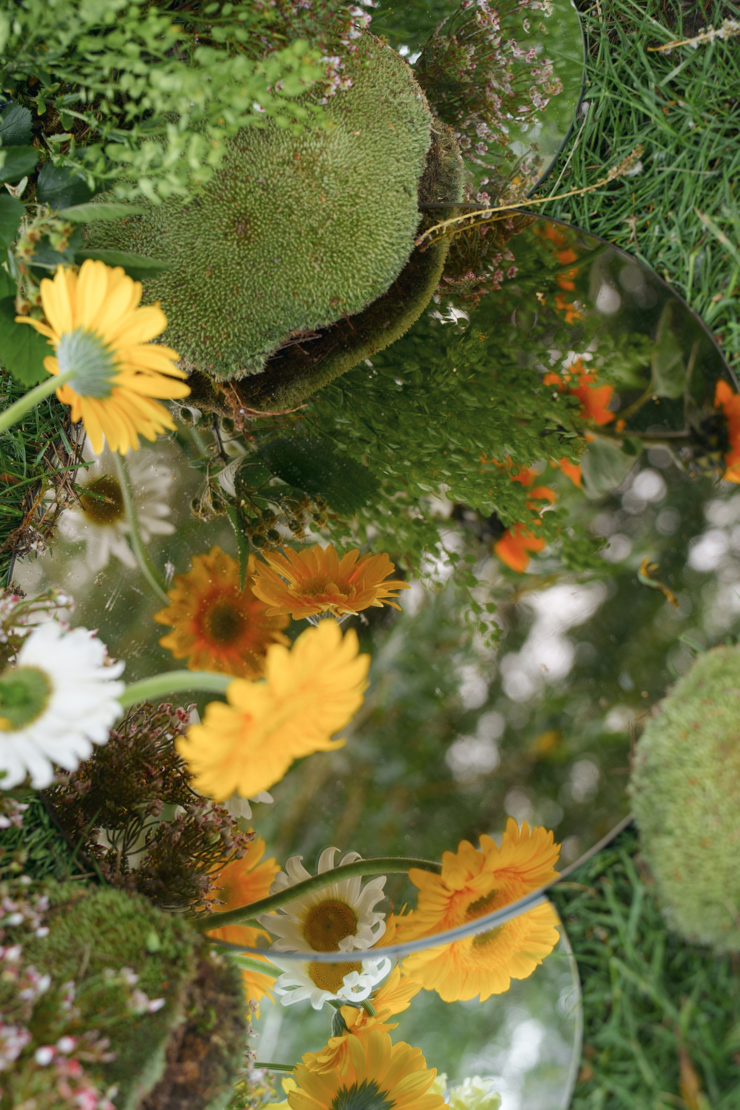 Свадебный вестник. Свадебный фотограф в Ростовe-на-Дону Анастасия Прутова