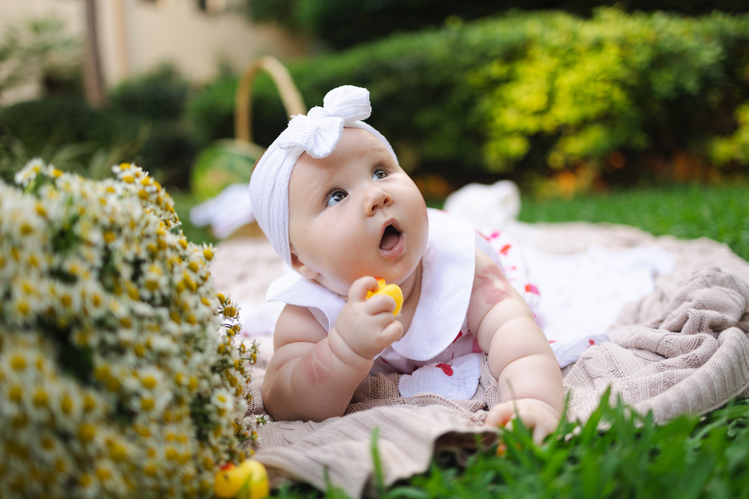 FAMILY. Главная