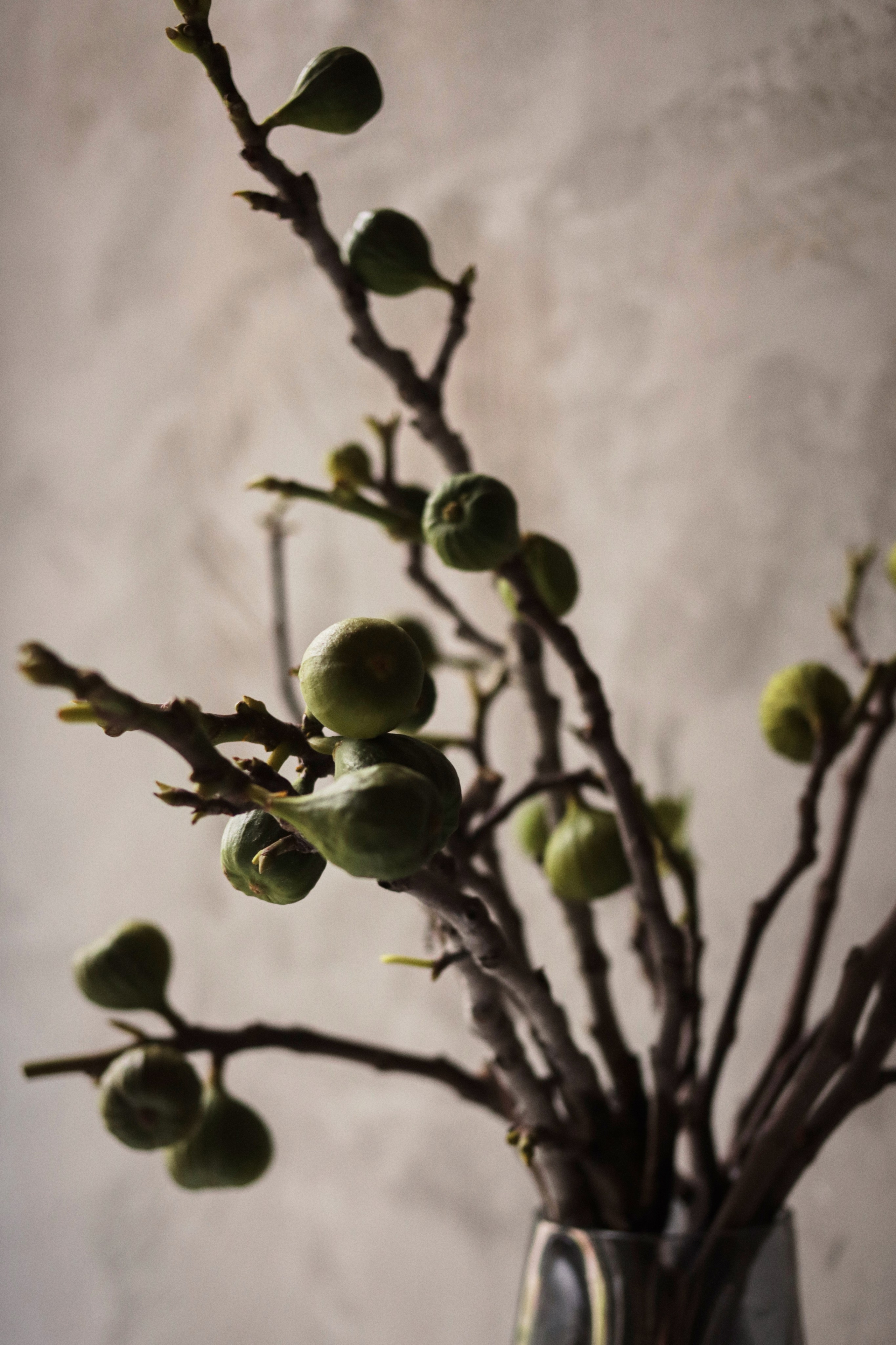 Flowers. Виктория Калугина — фотограф и видеомейкер в Москве