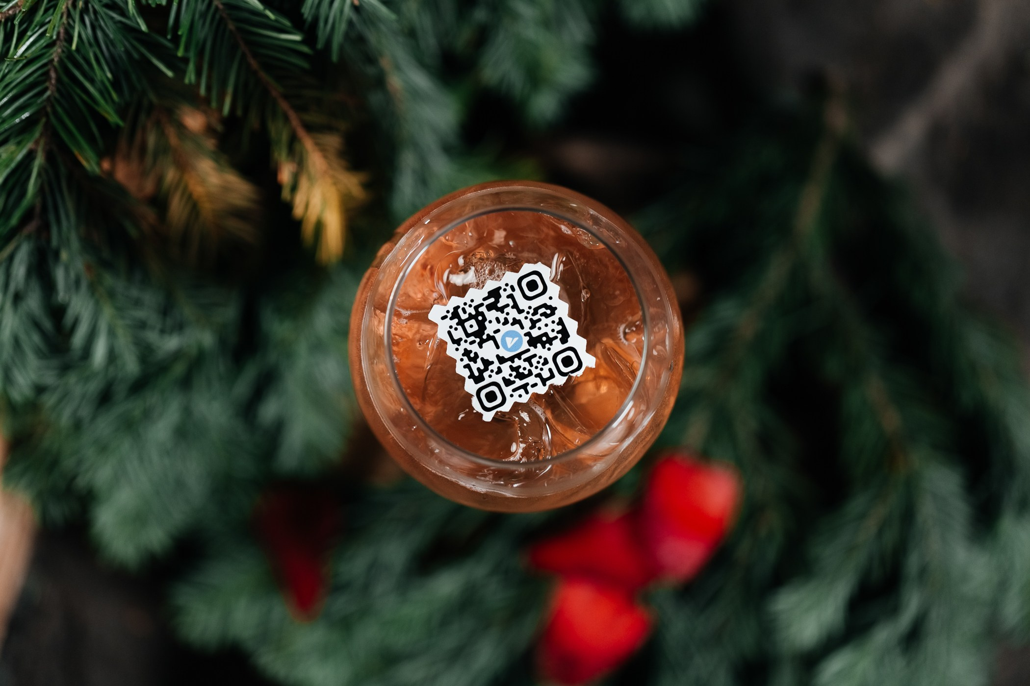 Alpen — Club. Фотограф Кемерово | Сергей