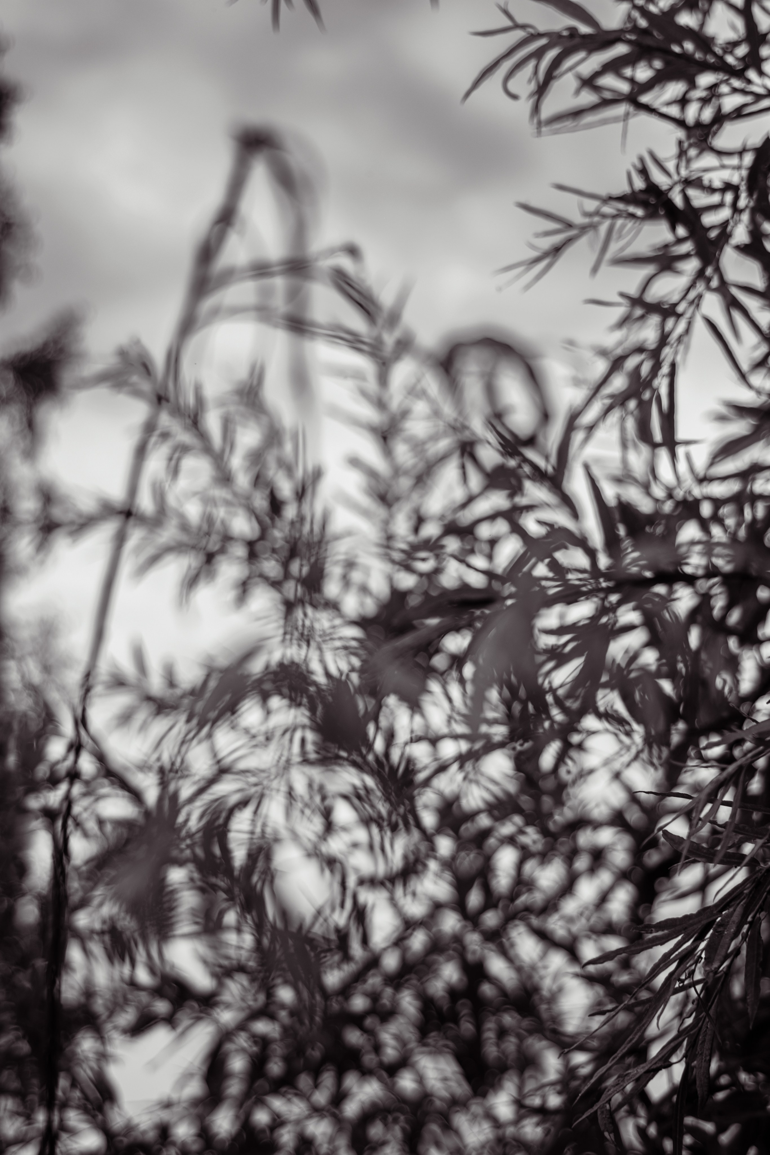 Art. Арт — фотограф Евгений Наймушин Новокузнецк