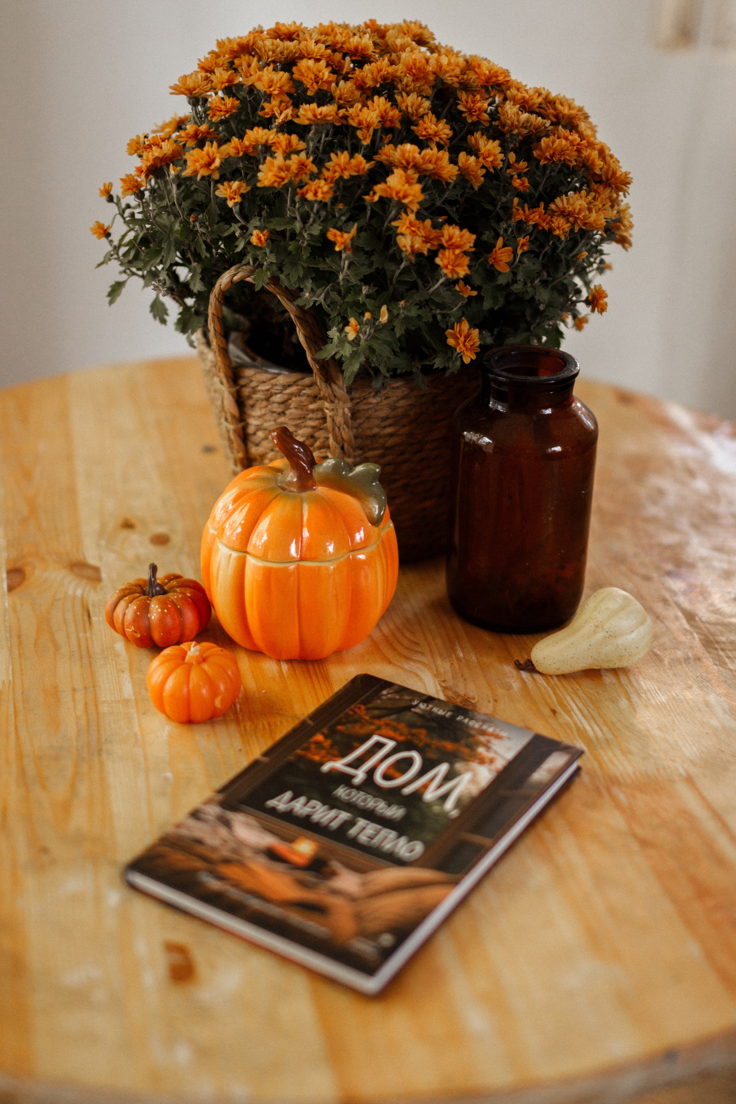 Семейная в Саду на Пруду. Фотограф Ростов-на-Дону Свадебный Фотограф в Ростове Ксения Орлова