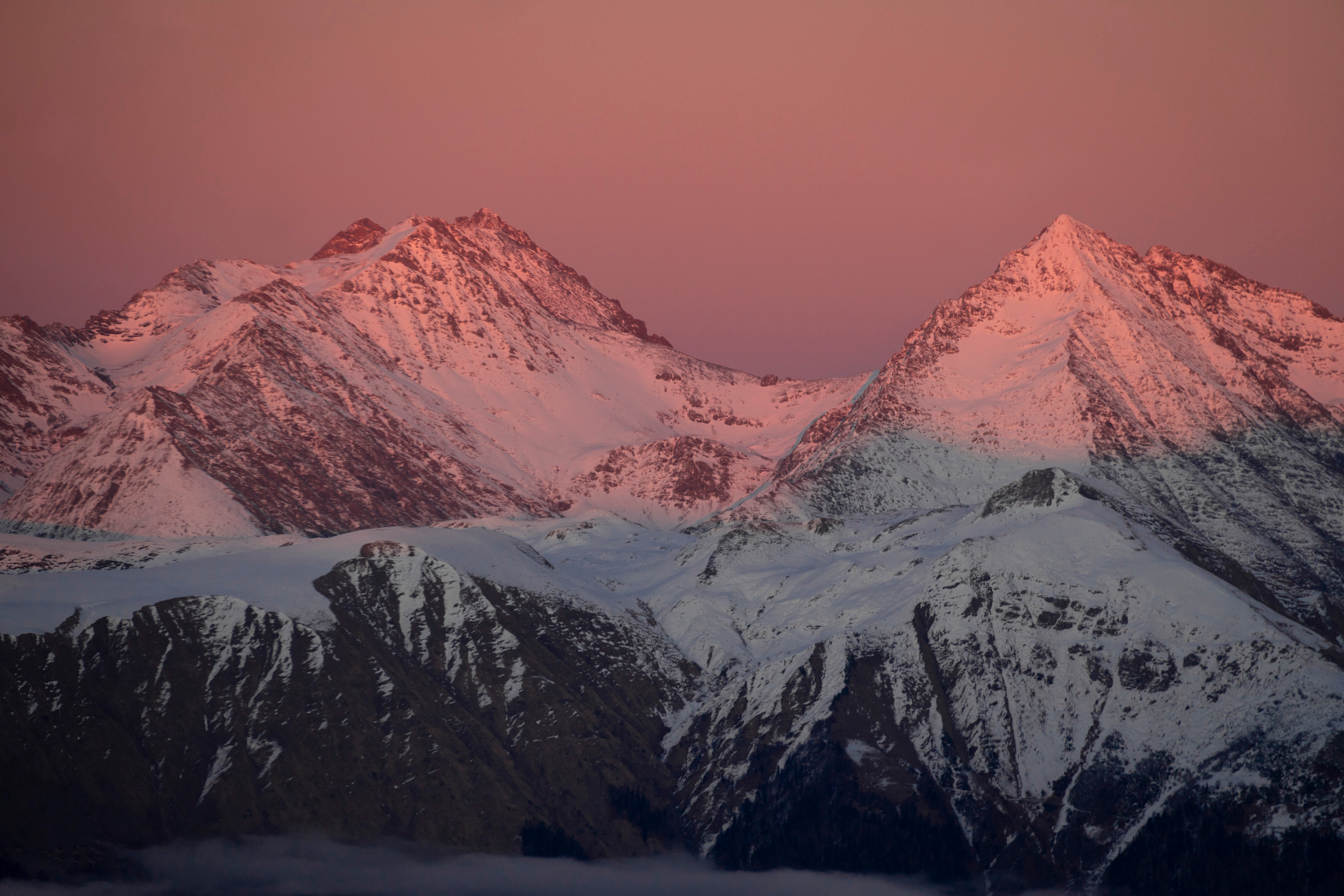 Сочи, я люблю тебя! 💚. Живые снимки! Фотограф Даша Бендер