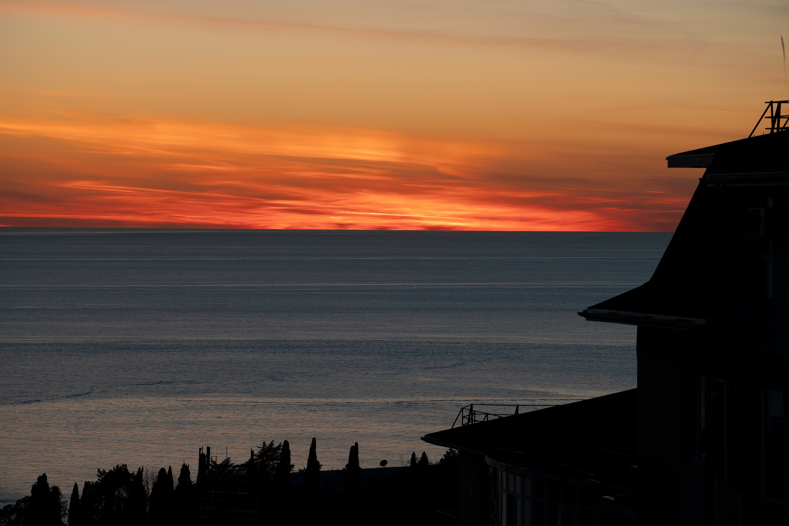 Сочи, я люблю тебя! 💚. Живые снимки! Фотограф Даша Бендер