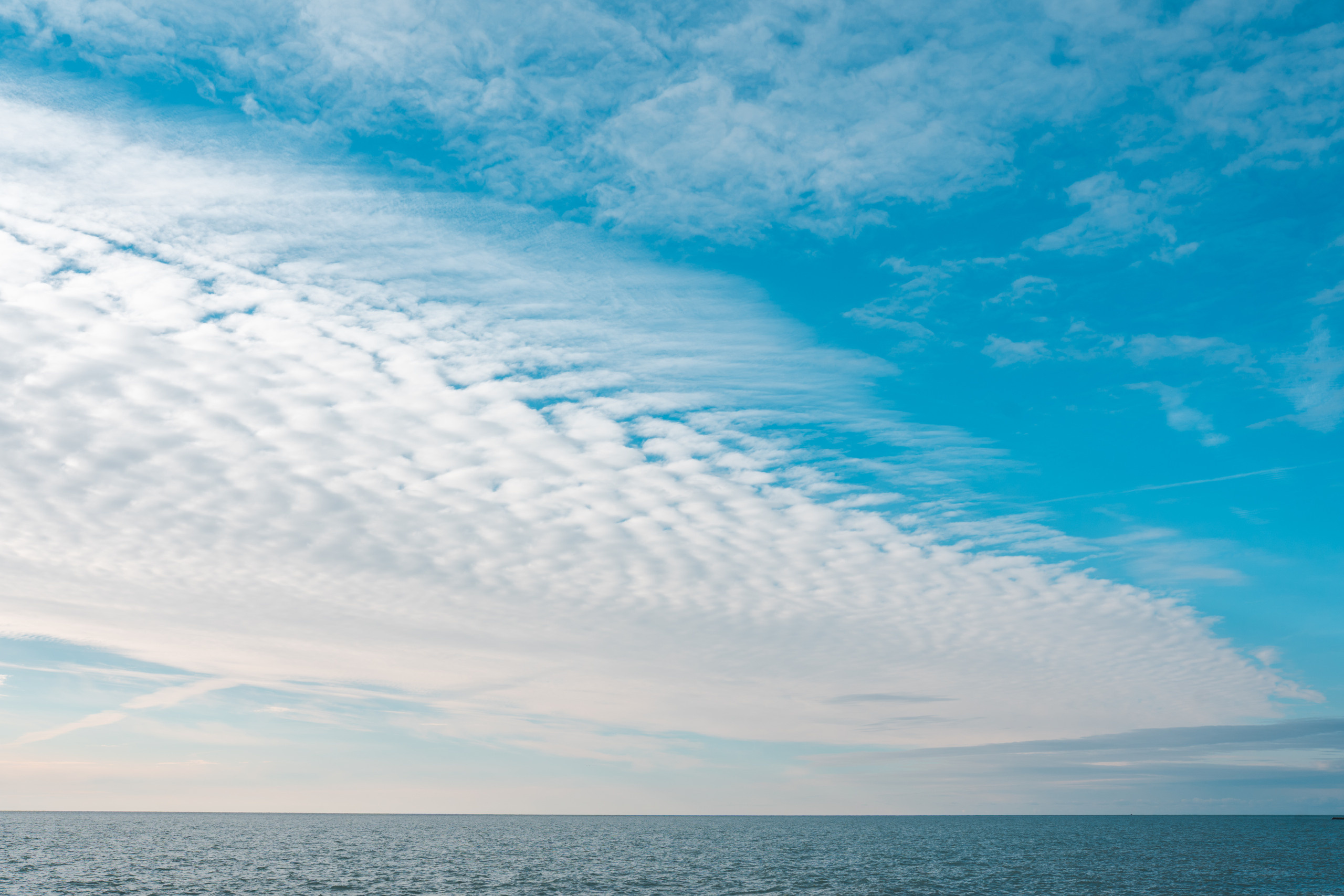 Сочи, я люблю тебя! 💚. Живые снимки! Фотограф Даша Бендер