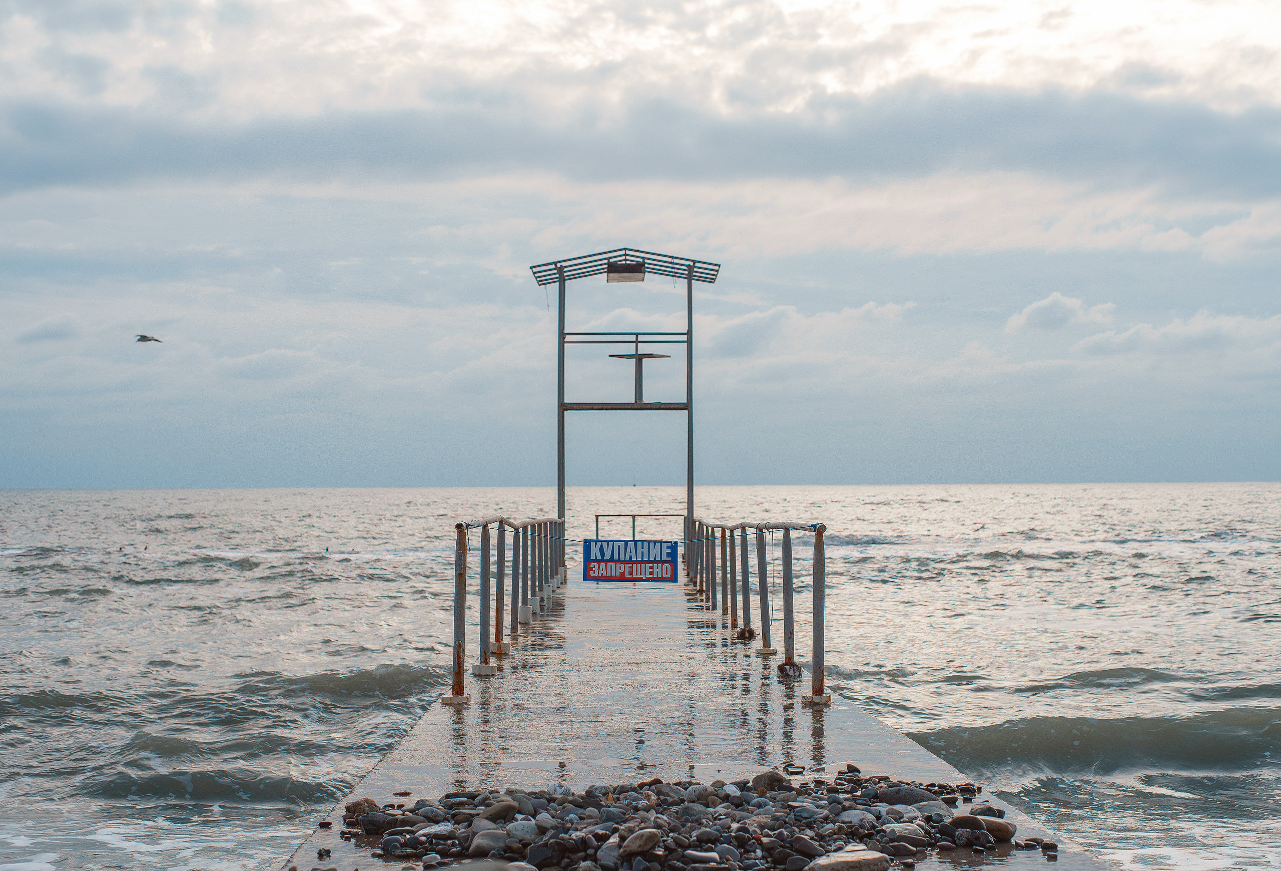 Сочи, я люблю тебя! 💚. Живые снимки! Фотограф Даша Бендер
