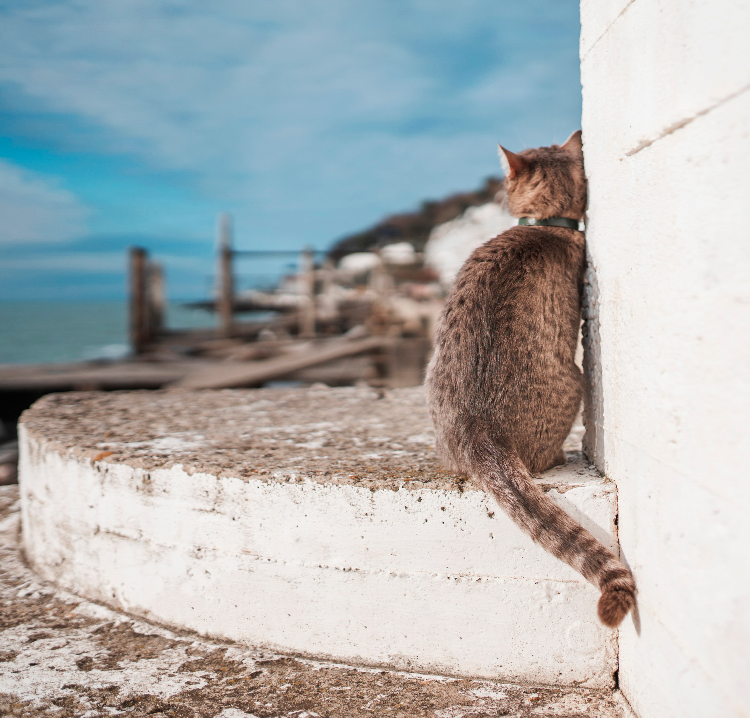 Сочи, я люблю тебя! 💚. Живые снимки! Фотограф Даша Бендер