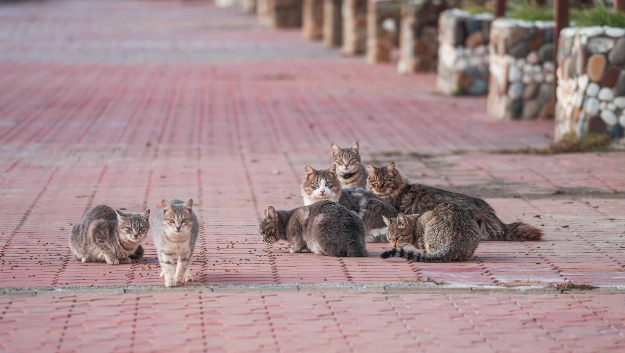 Сочи, я люблю тебя! 💚. Живые снимки! Фотограф Даша Бендер