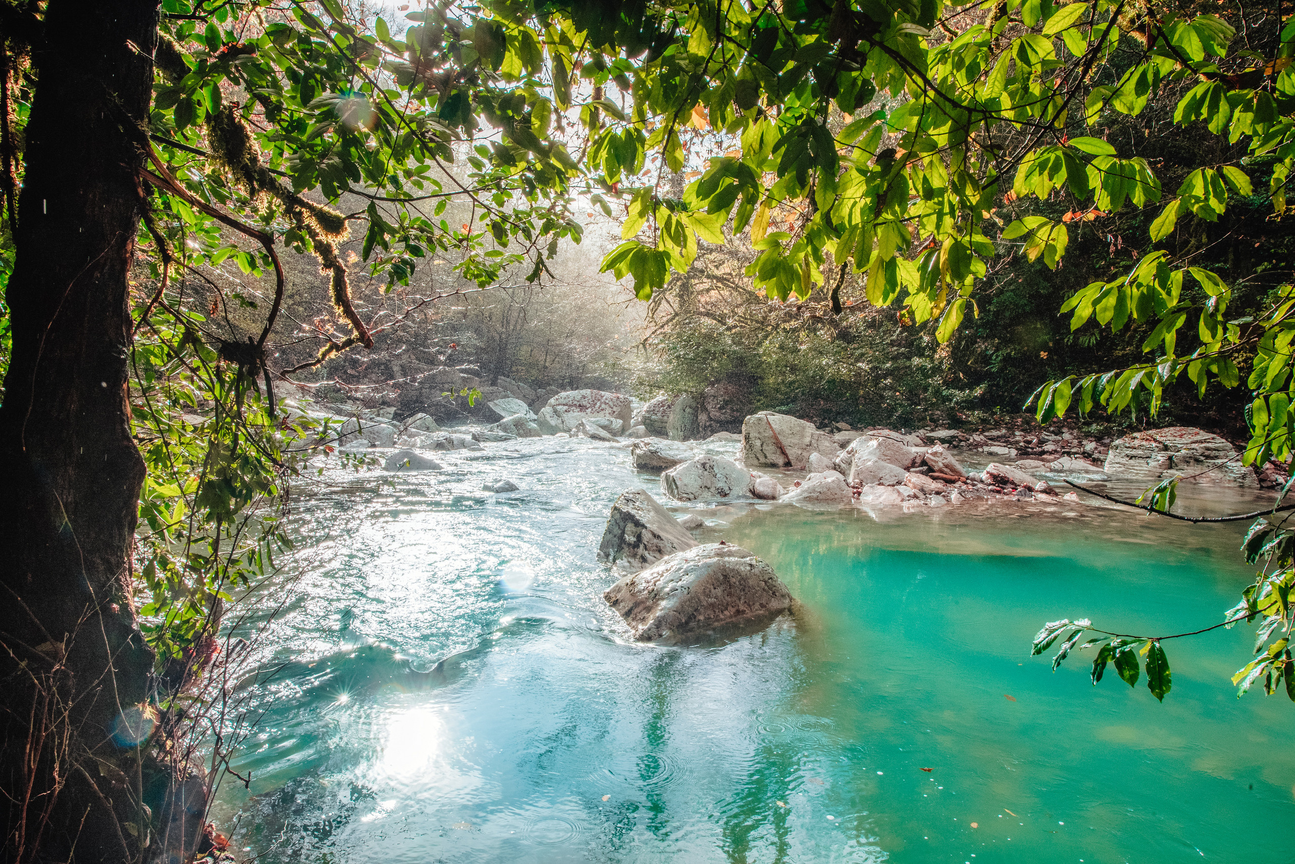 Сочи, я люблю тебя! 💚. Живые снимки! Фотограф Даша Бендер