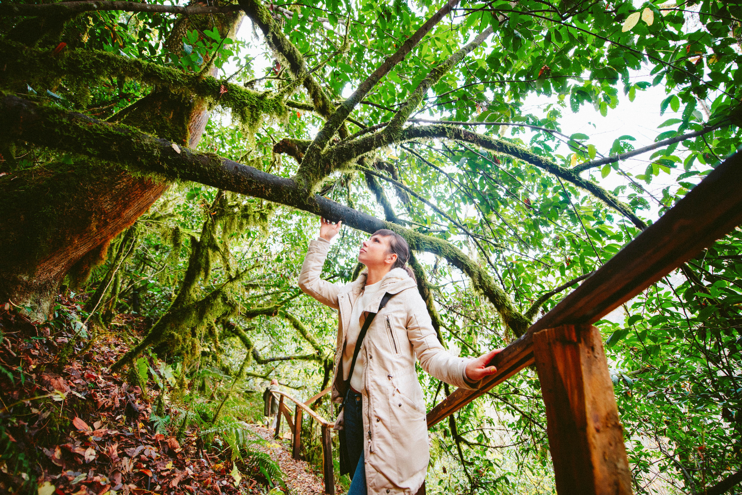 Сочи, я люблю тебя! 💚. Живые снимки! Фотограф Даша Бендер