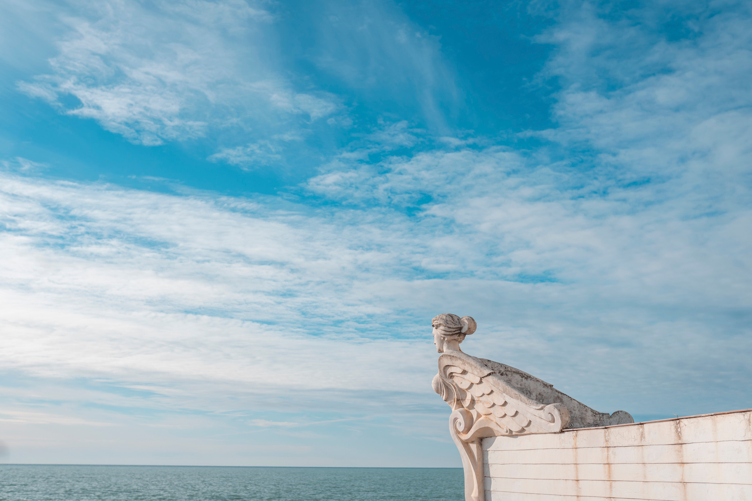 Сочи, я люблю тебя! 💚. Живые снимки! Фотограф Даша Бендер