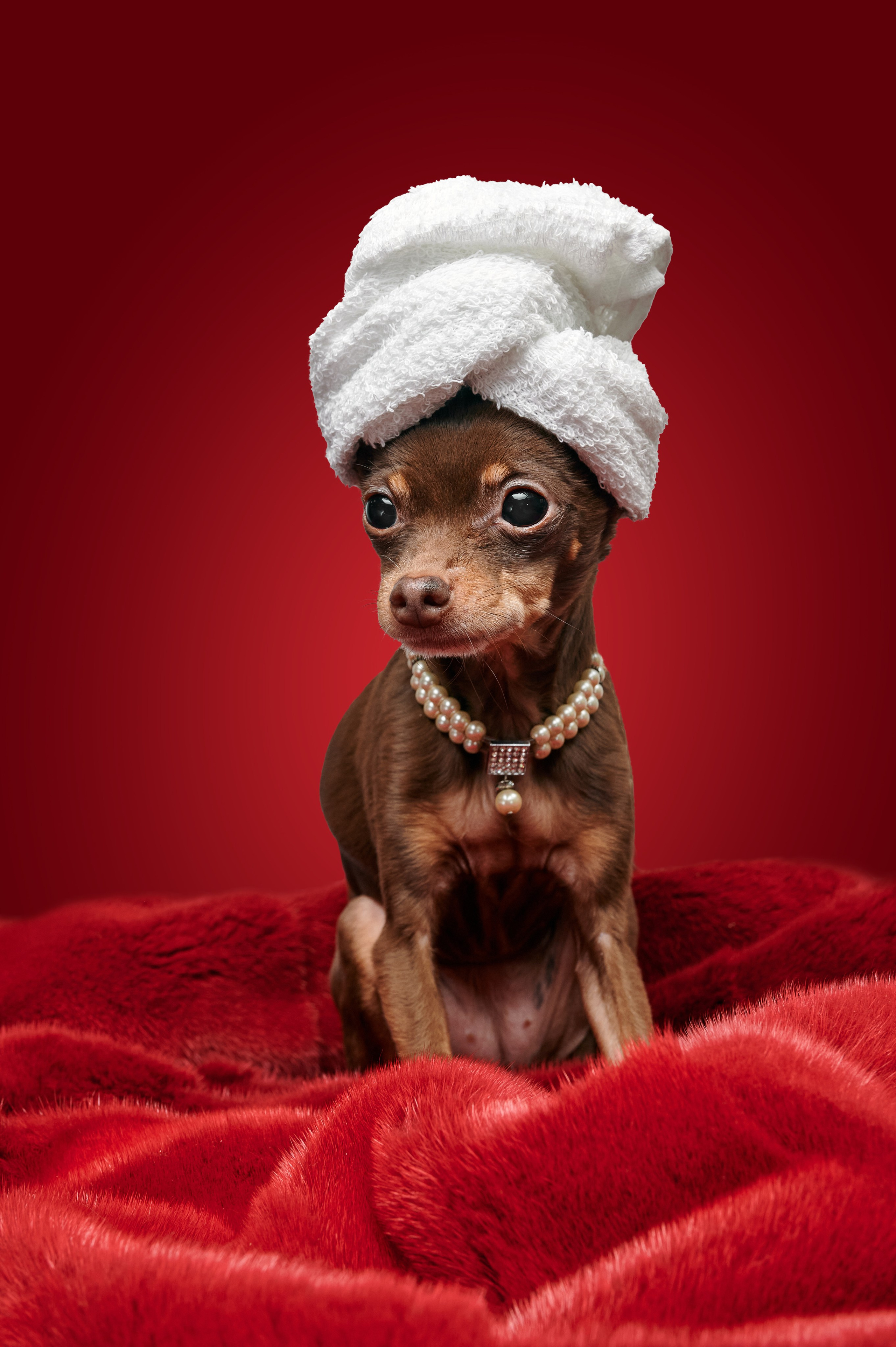 Выездная фотосъемка для календаря в интерьерах современного бизнес-центра