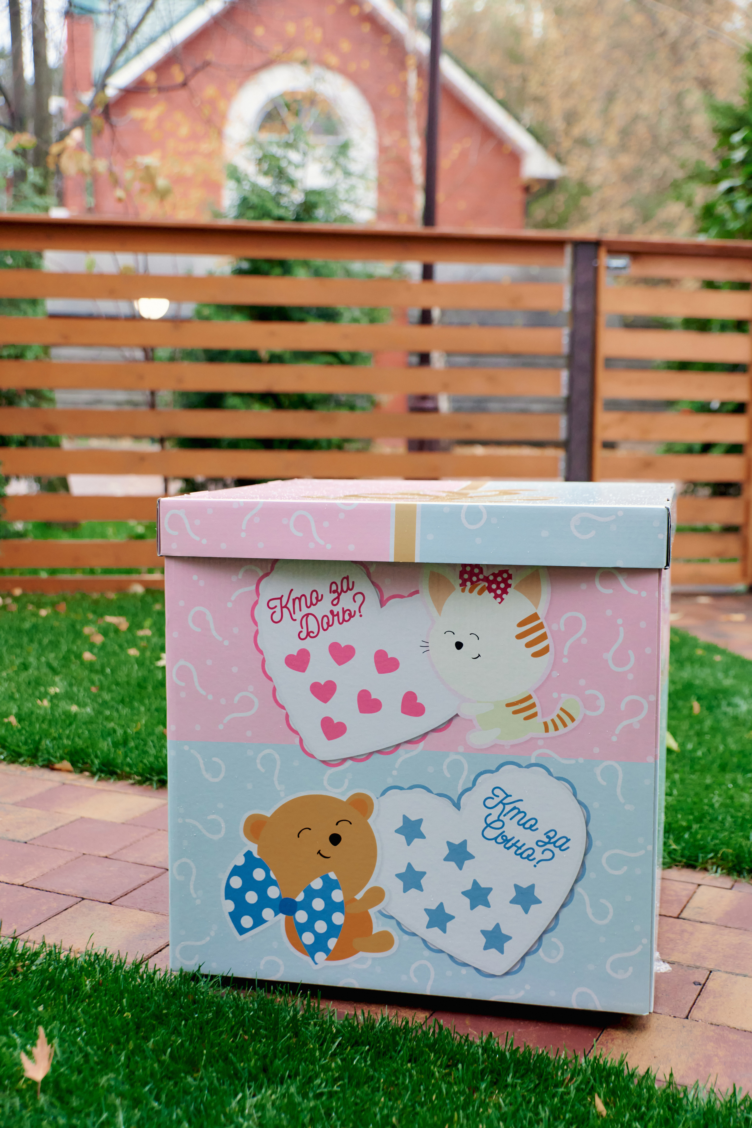 ГЕНДЕР PARTY мама БОНД. ФОТОГРАФ Кристина Павлова | МОСКВА