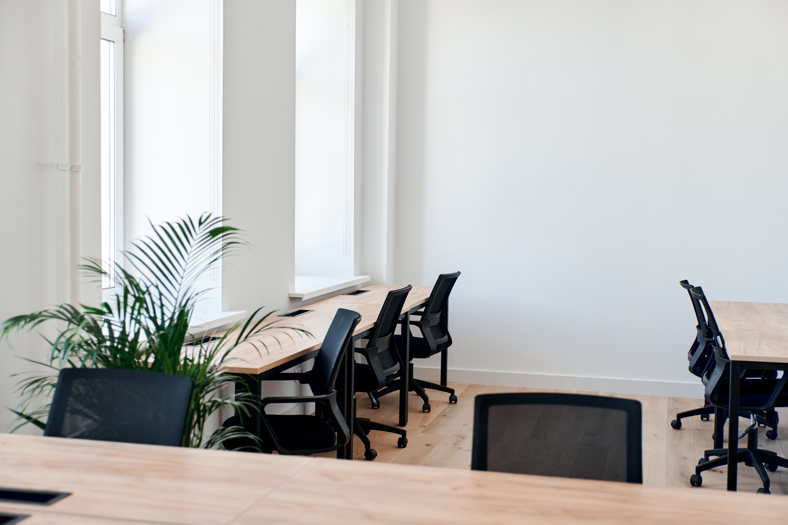 OFFICELESS. ФОТОГРАФ Кристина Павлова | МОСКВА