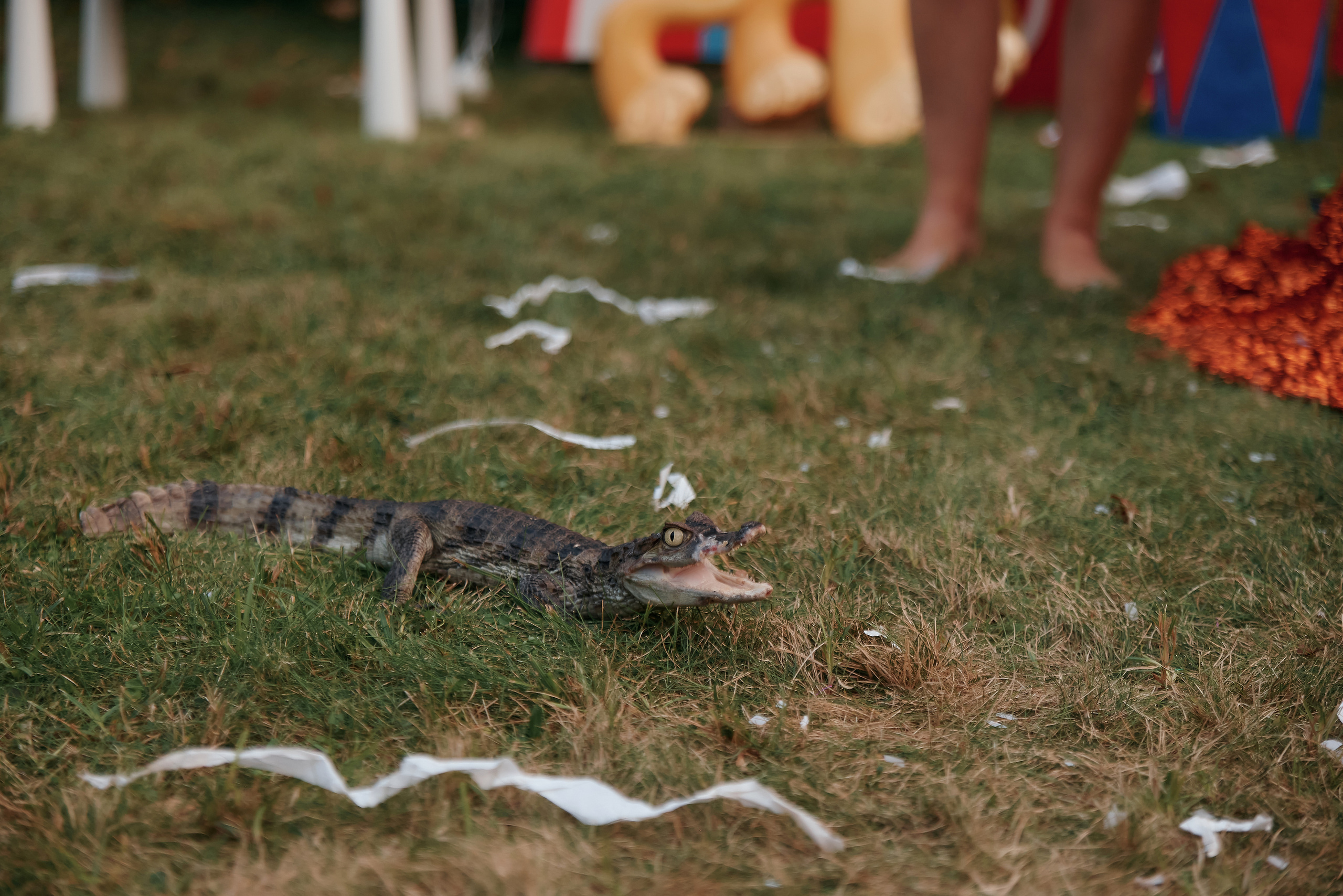 ЛИЗЕ 4 года. ФОТОГРАФ Кристина Павлова | МОСКВА