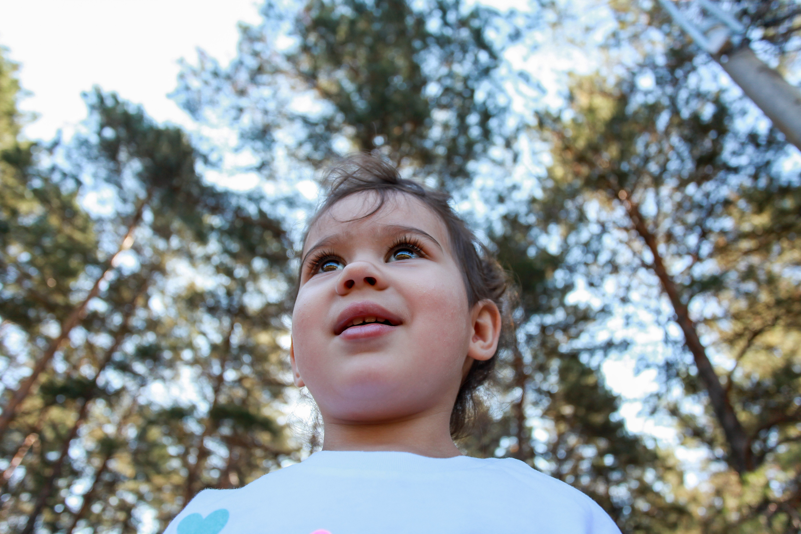 девочка крупный план сосновая роща лето природа