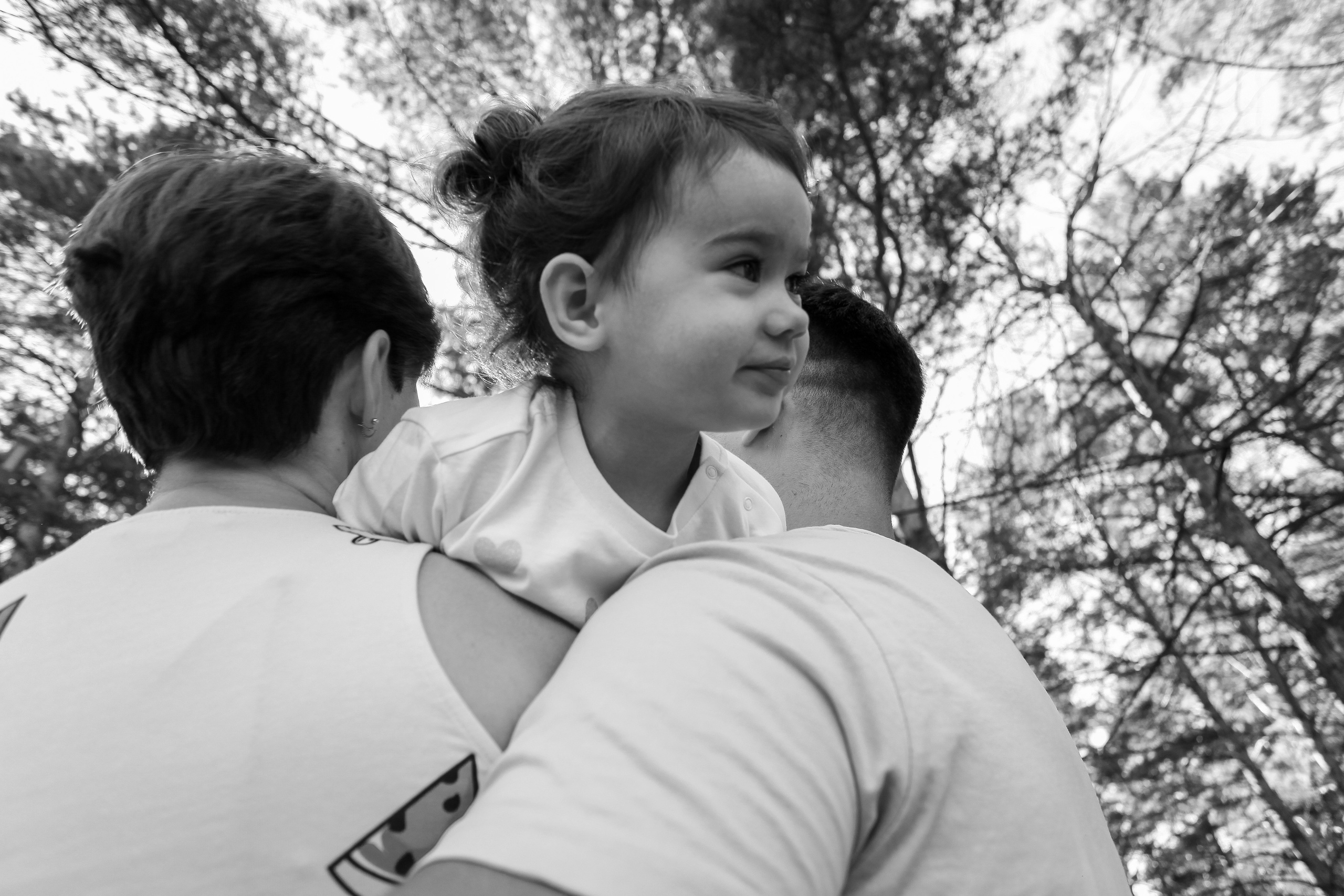 семья папа мама дочь сосновая роща лето природа деревья чб 