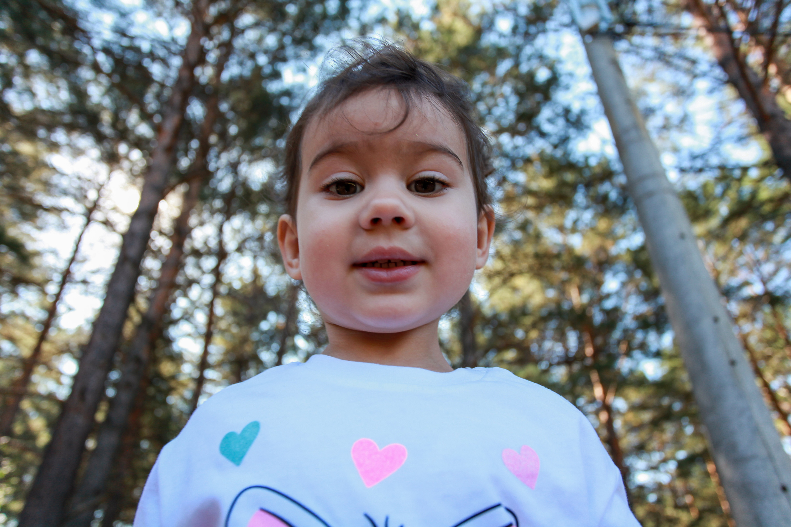 девочка крупный план сосновая роща лето природа деревья