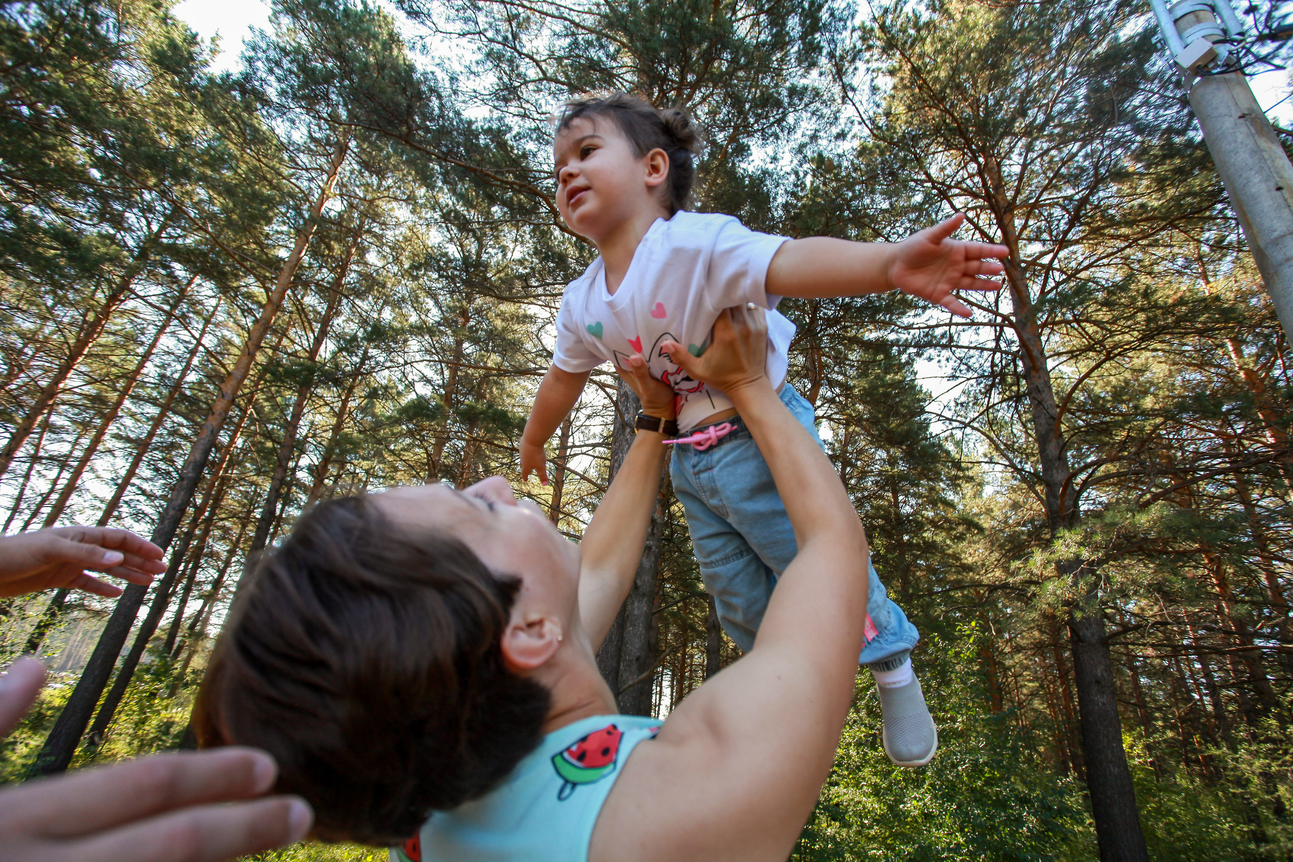 семейная фотосессия девочка на руках летит сосновая роща лето природа