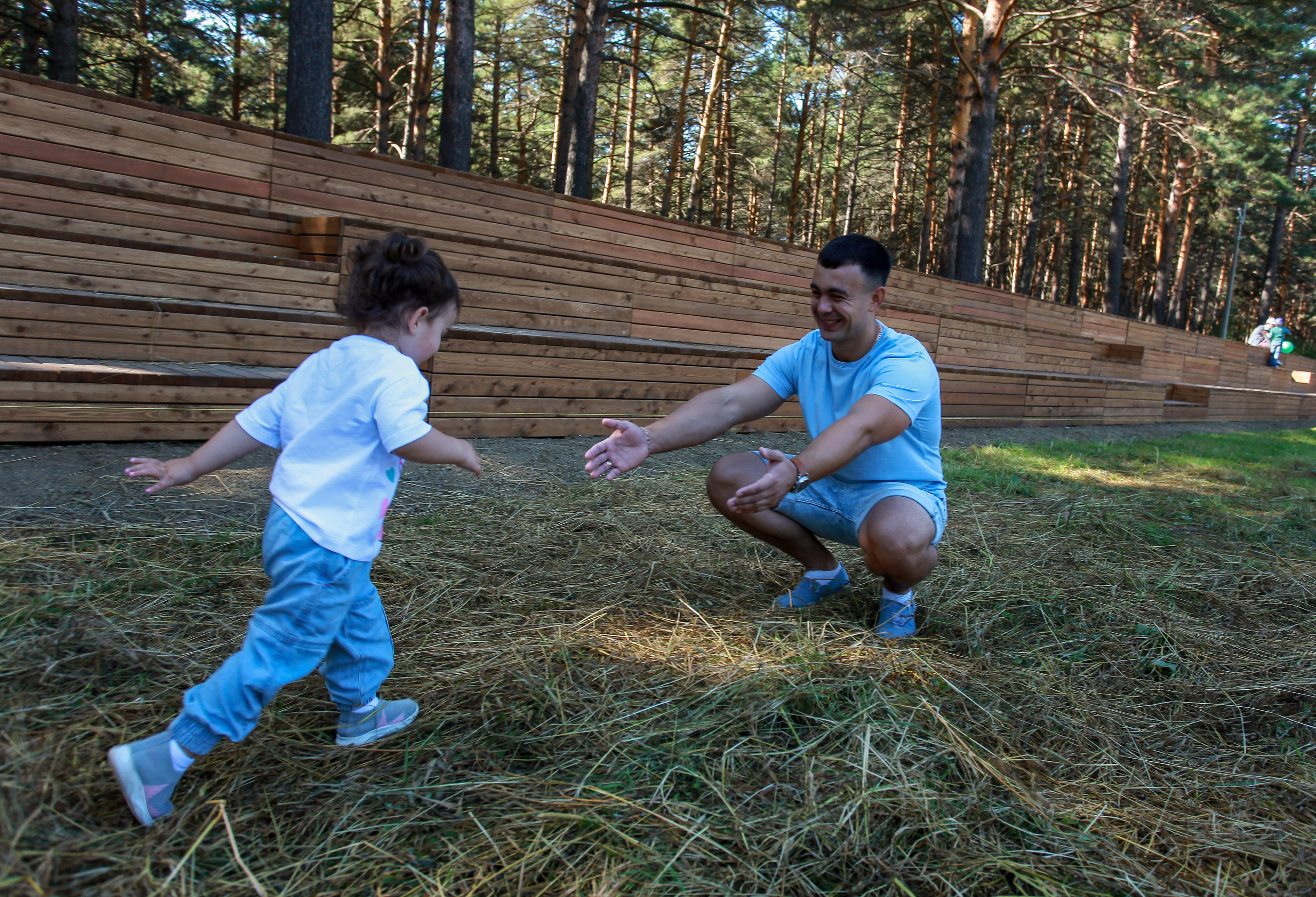 семья папа бежит дочь навстречу  сосновая роща лето природа деревья