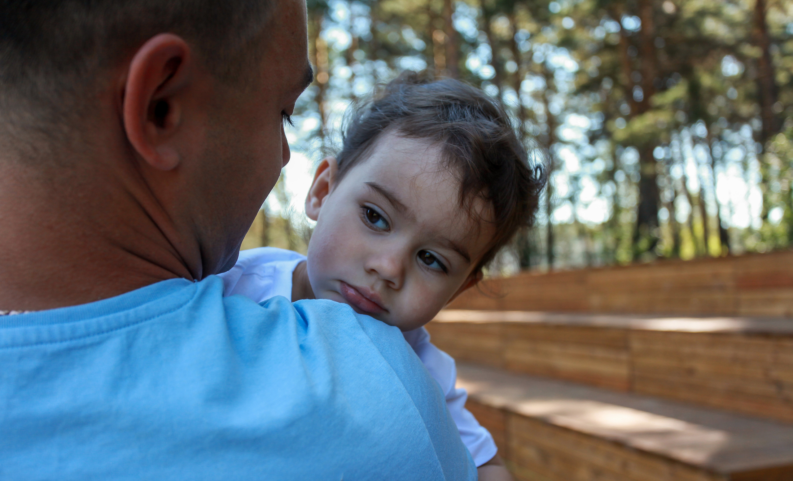 семья папа дочь сосновая роща лето природа деревянные ступени