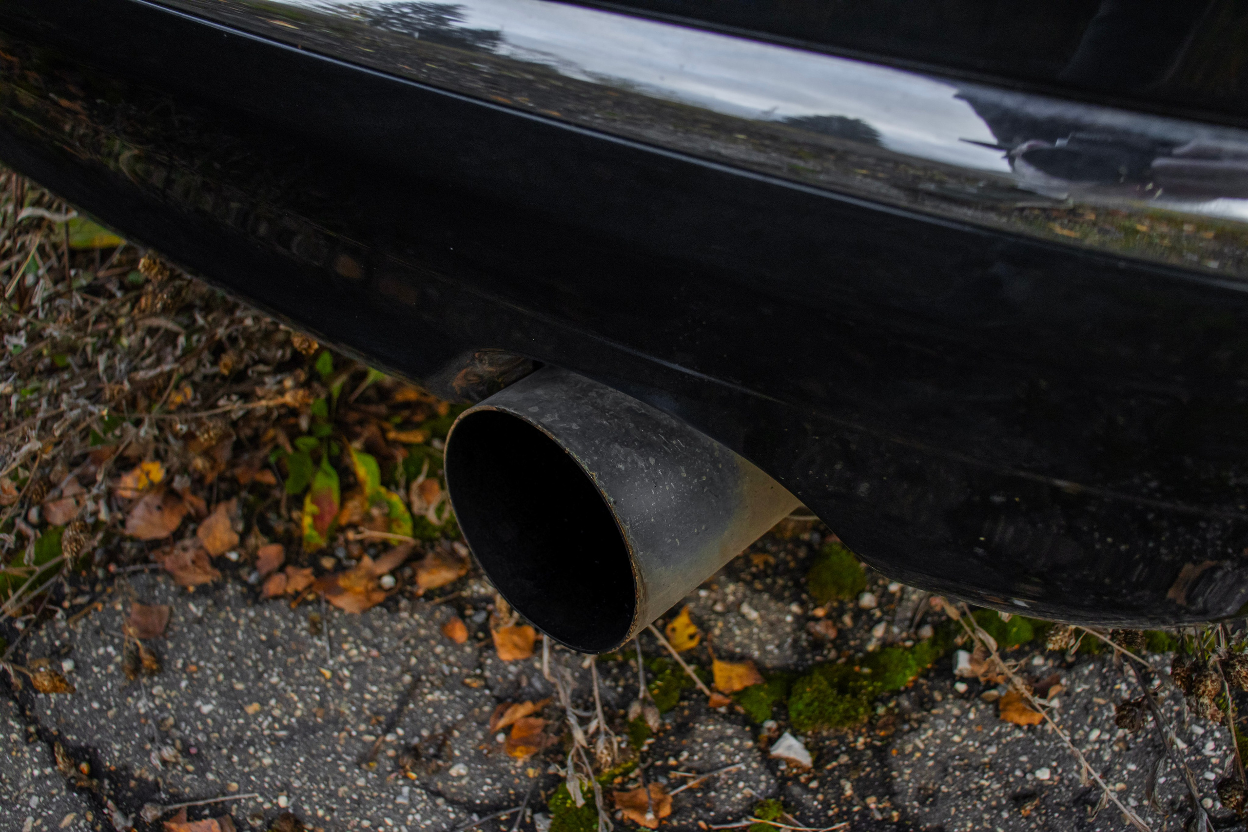 Kia ceed & Nissan Teana J31