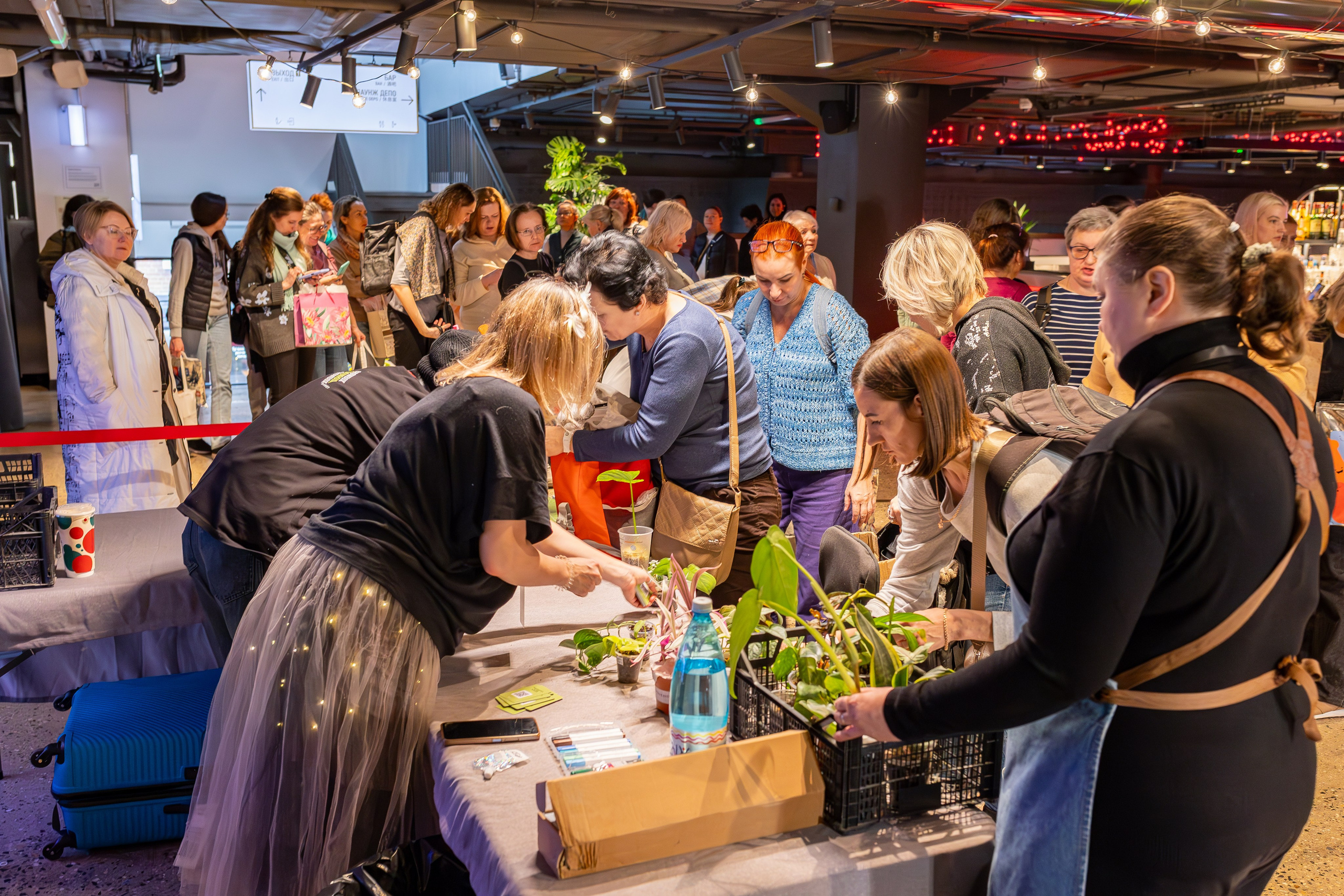 Growbox декабрь 2025. Александра Куликова фотограф, Москва