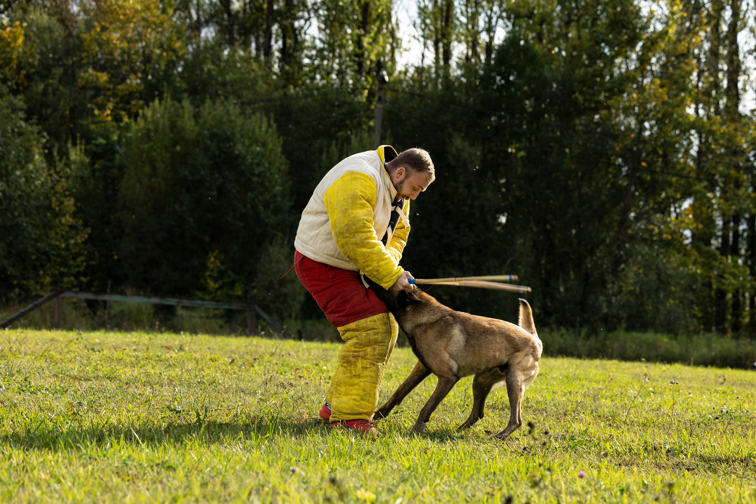 Испытания по Мондьорингу г. Пушкин. Фотограф-анималист Анна Маринич