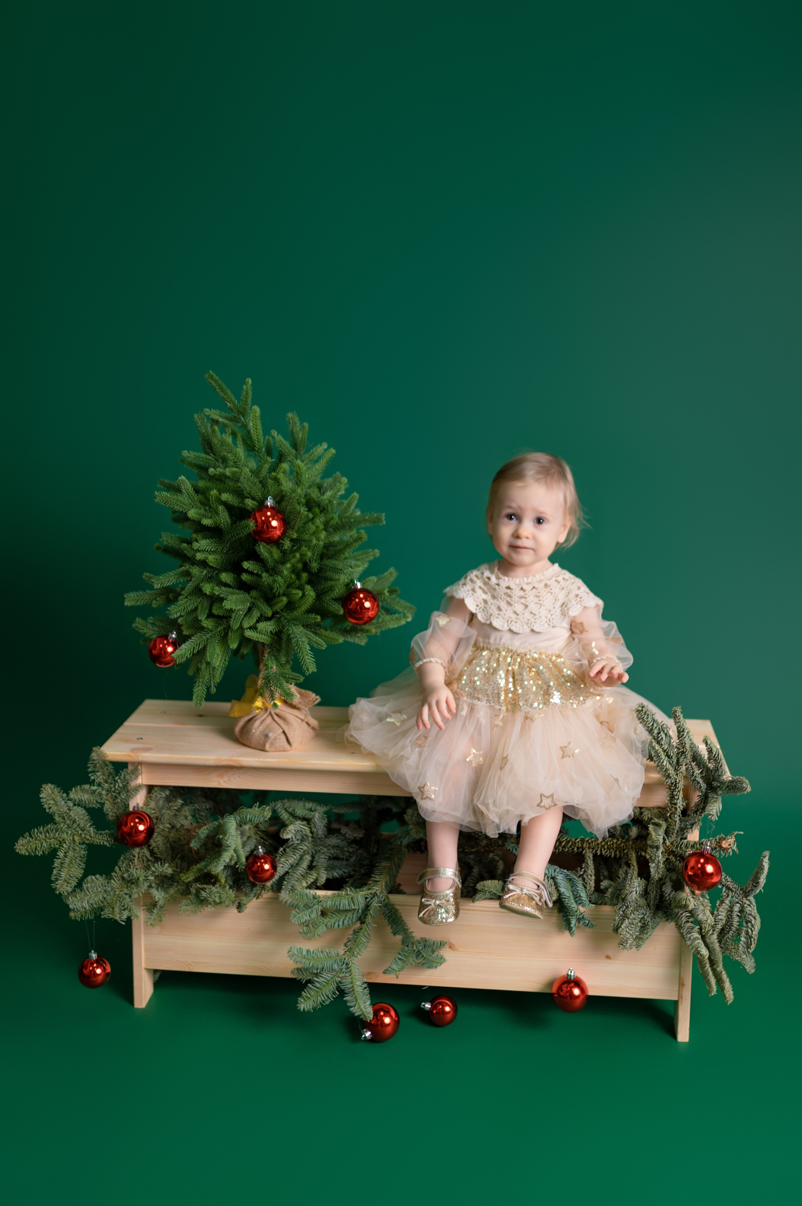 Новый год 2024-2025. Детский фотограф в городе Жуковский Алиса Коробанова