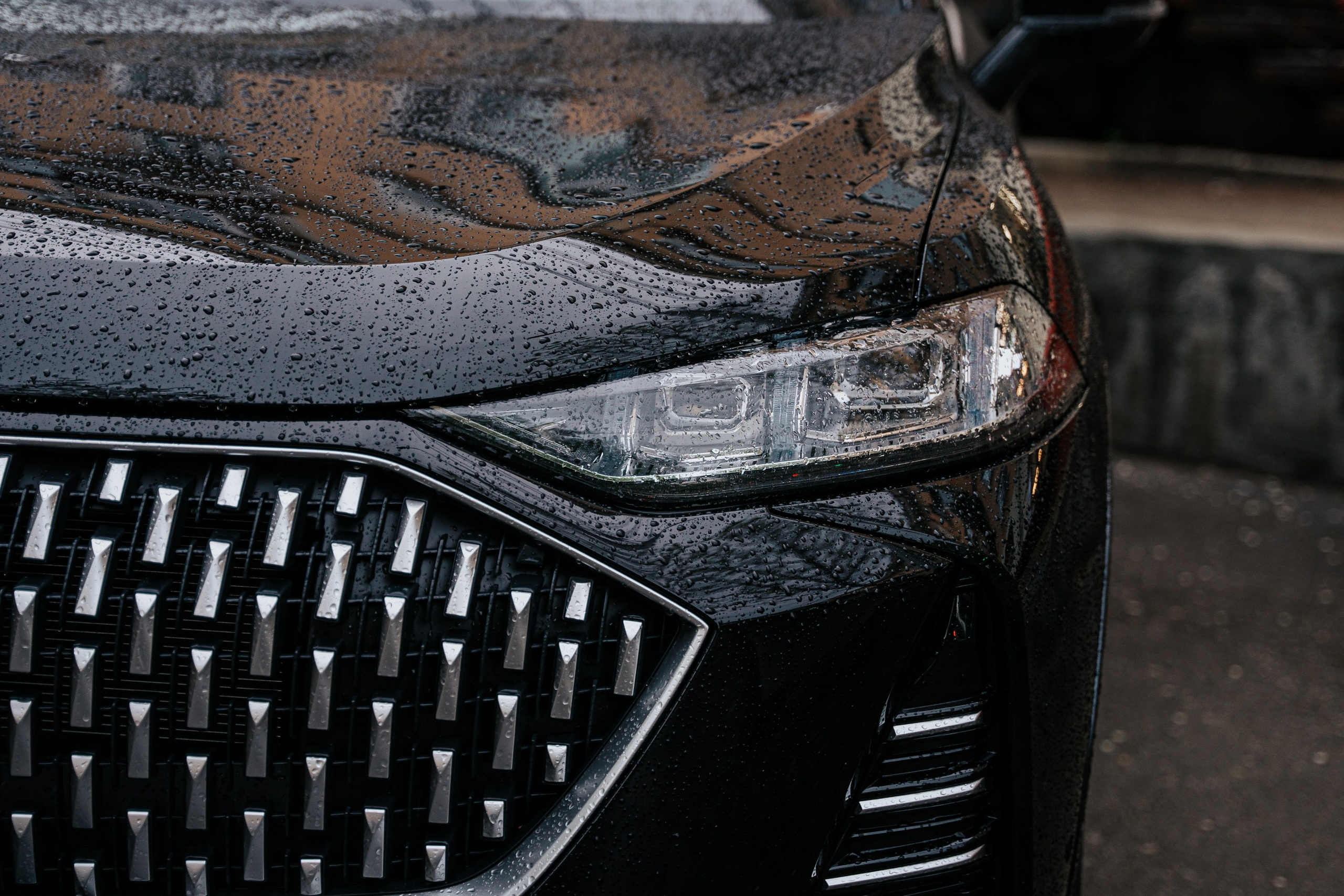 TORDOKI. Фотограф Хабаровск