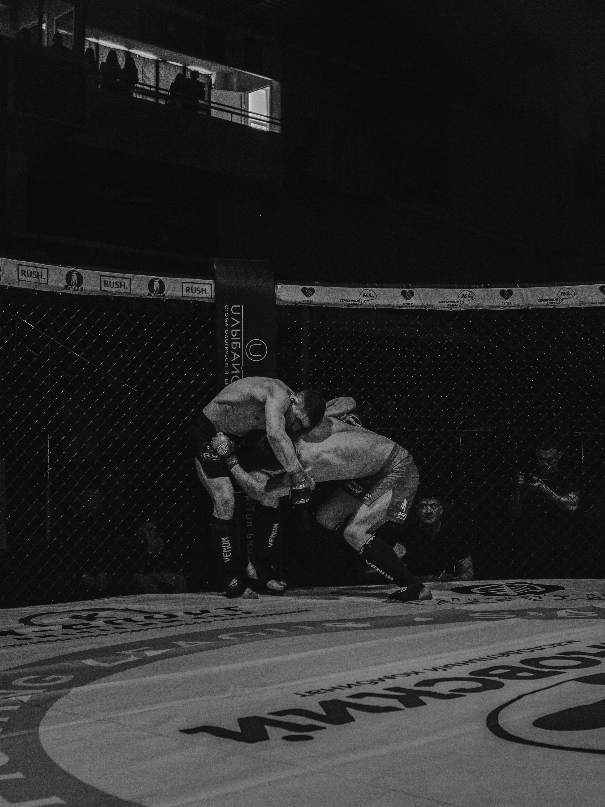 SFL 17 | Siberian Fighting League. Портретный фотограф в Москве Дарья Цезария