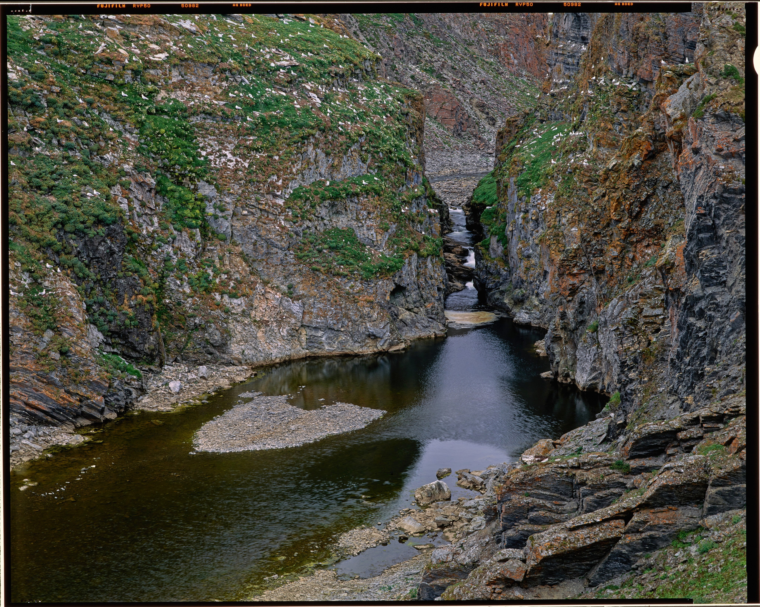 Полевая фотосъёмка форматными камерами. Multica. Мастерская камер большого формата