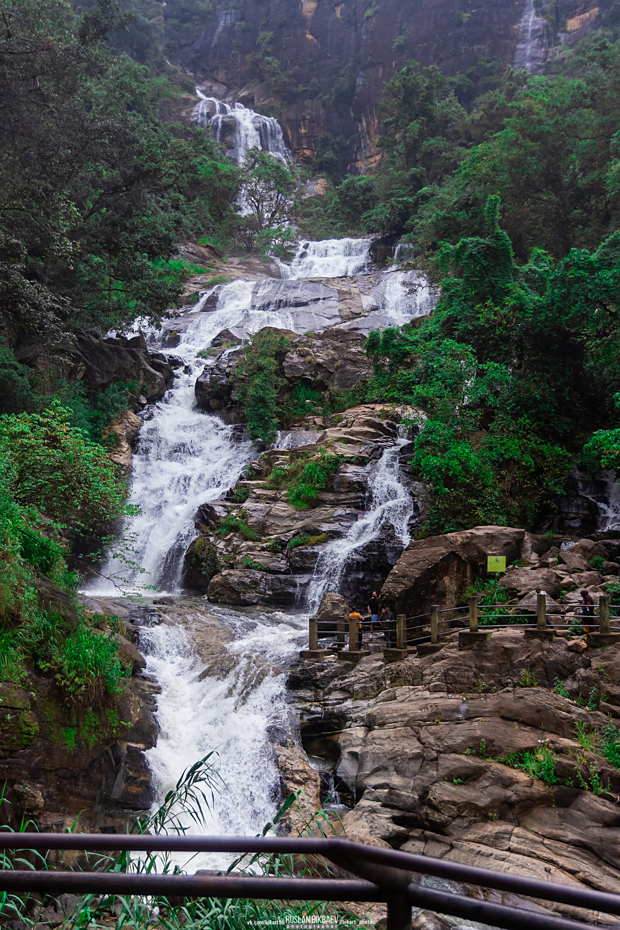 ШРИ-ЛАНКА 2025 / SRI LANKA 2025. Главная