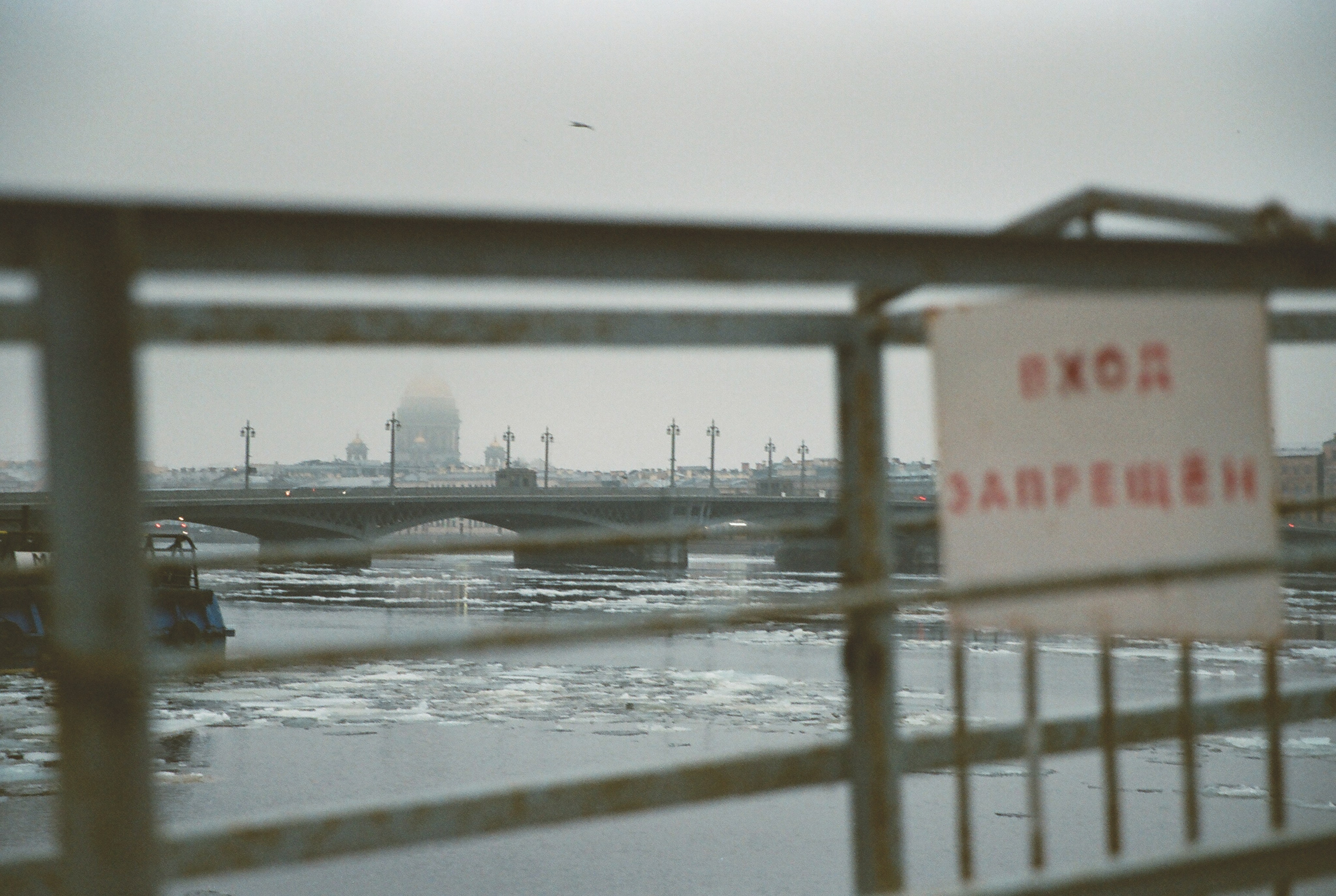 Фотографии цветные. Свадебный и семейный пленочный фотограф в Петербурге Истомина Ирина