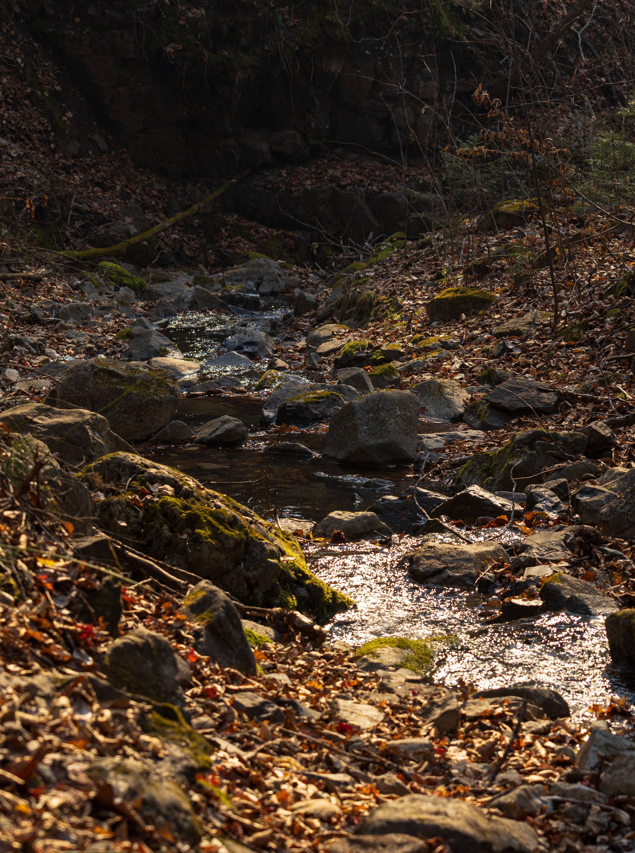 Маруськины слёзы. Константин Кириченко