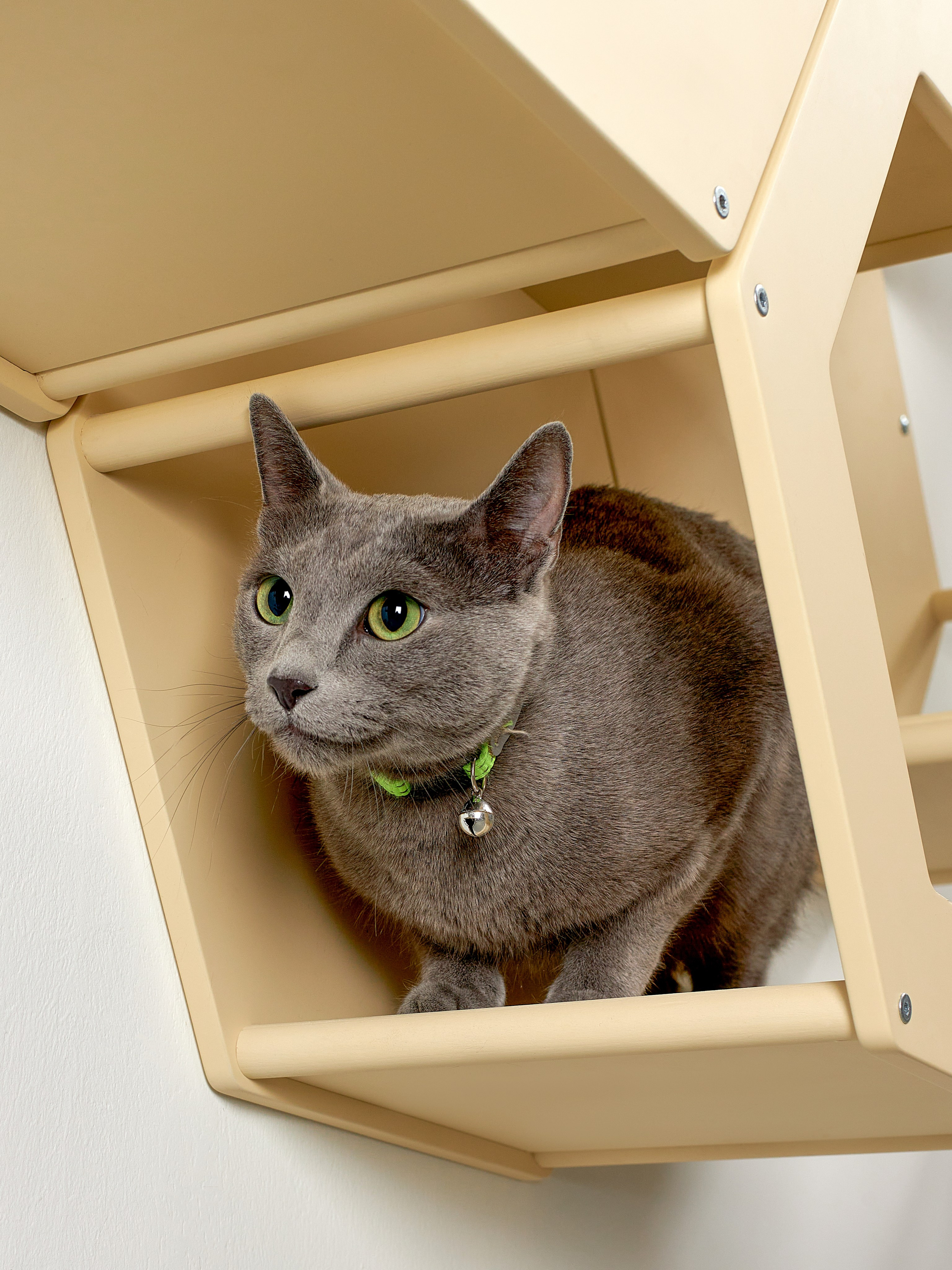 KOTOMOTO. Главная