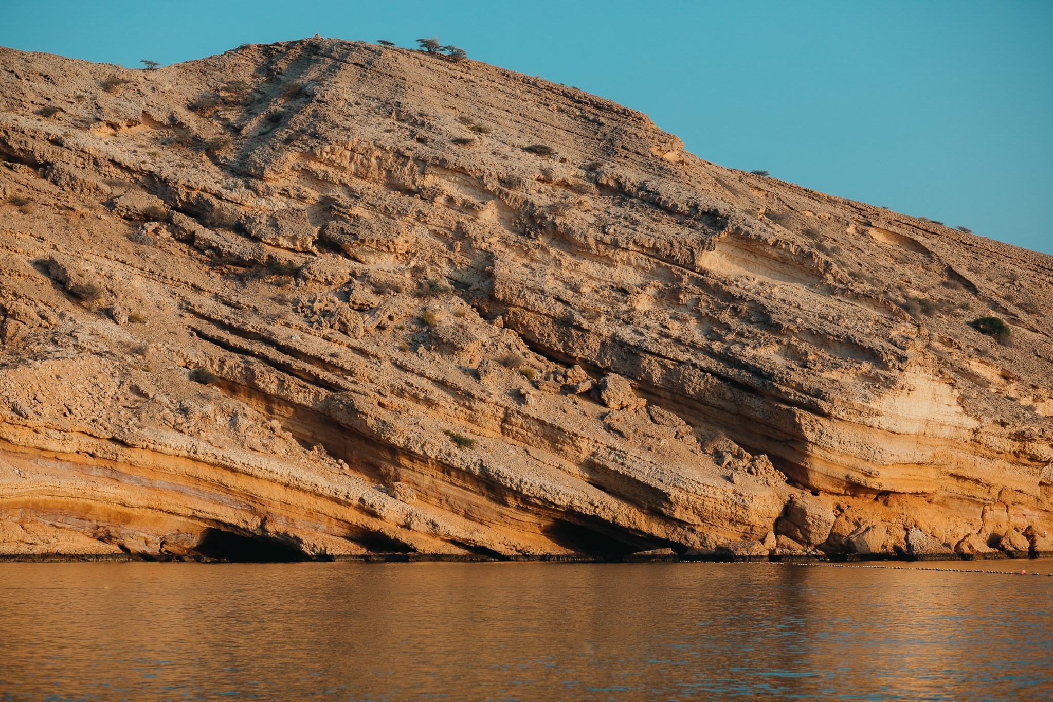 Оман. Сyber Genesis. Главная