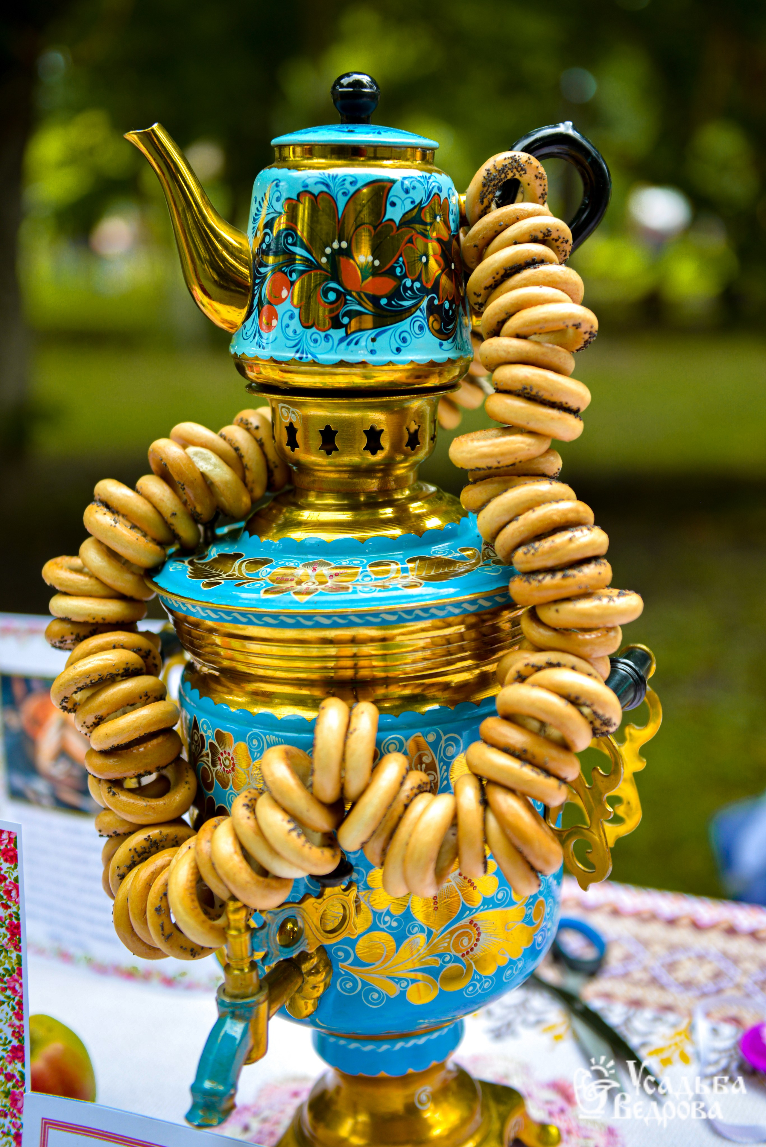 Ведровский погребок 2025. Портретный фотограф Марина Тамбовская