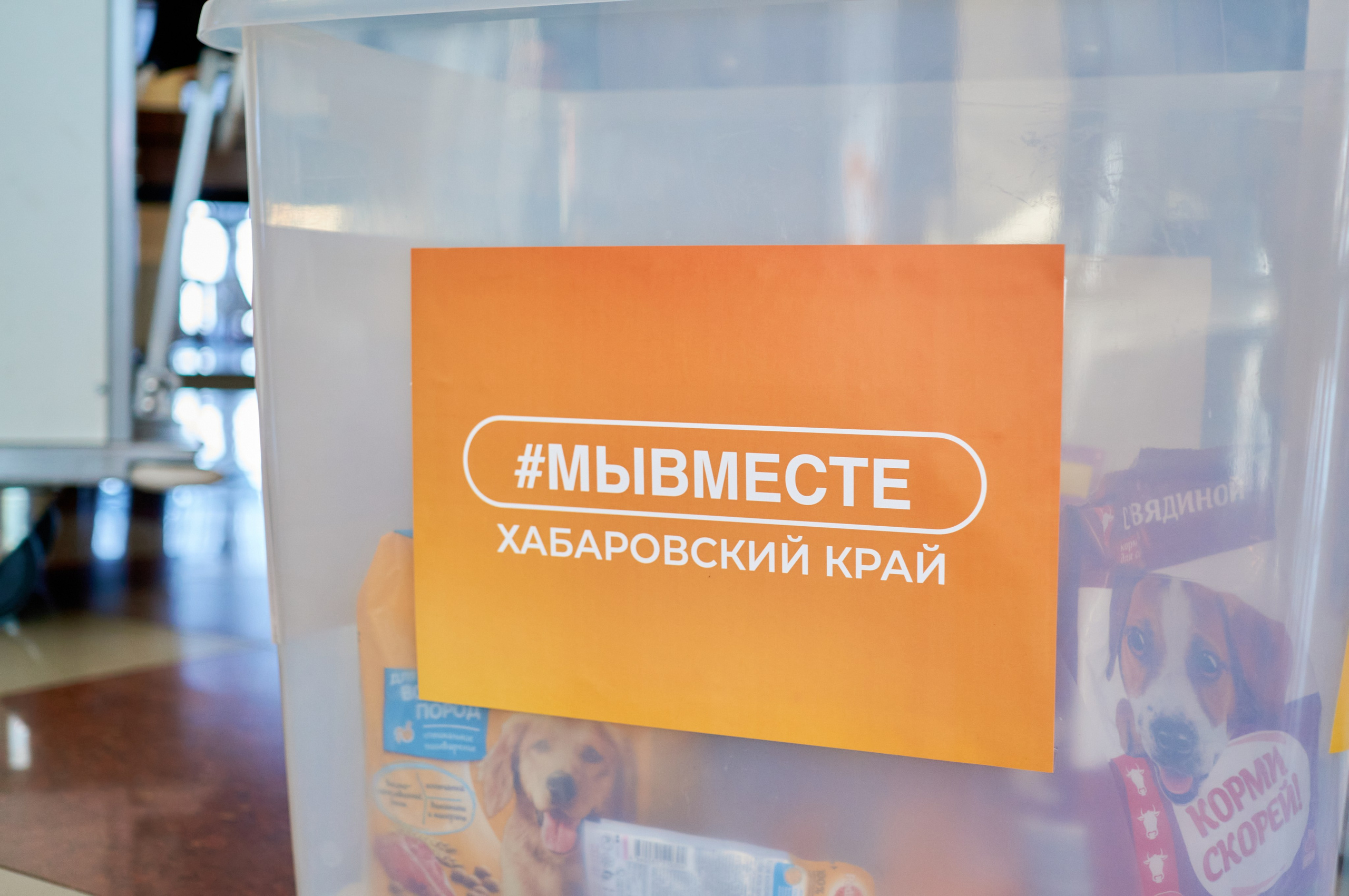 Окружной форум добровольцев СФО и ДФО. Фотограф | Кнышева Валерия | Санкт-Петербург