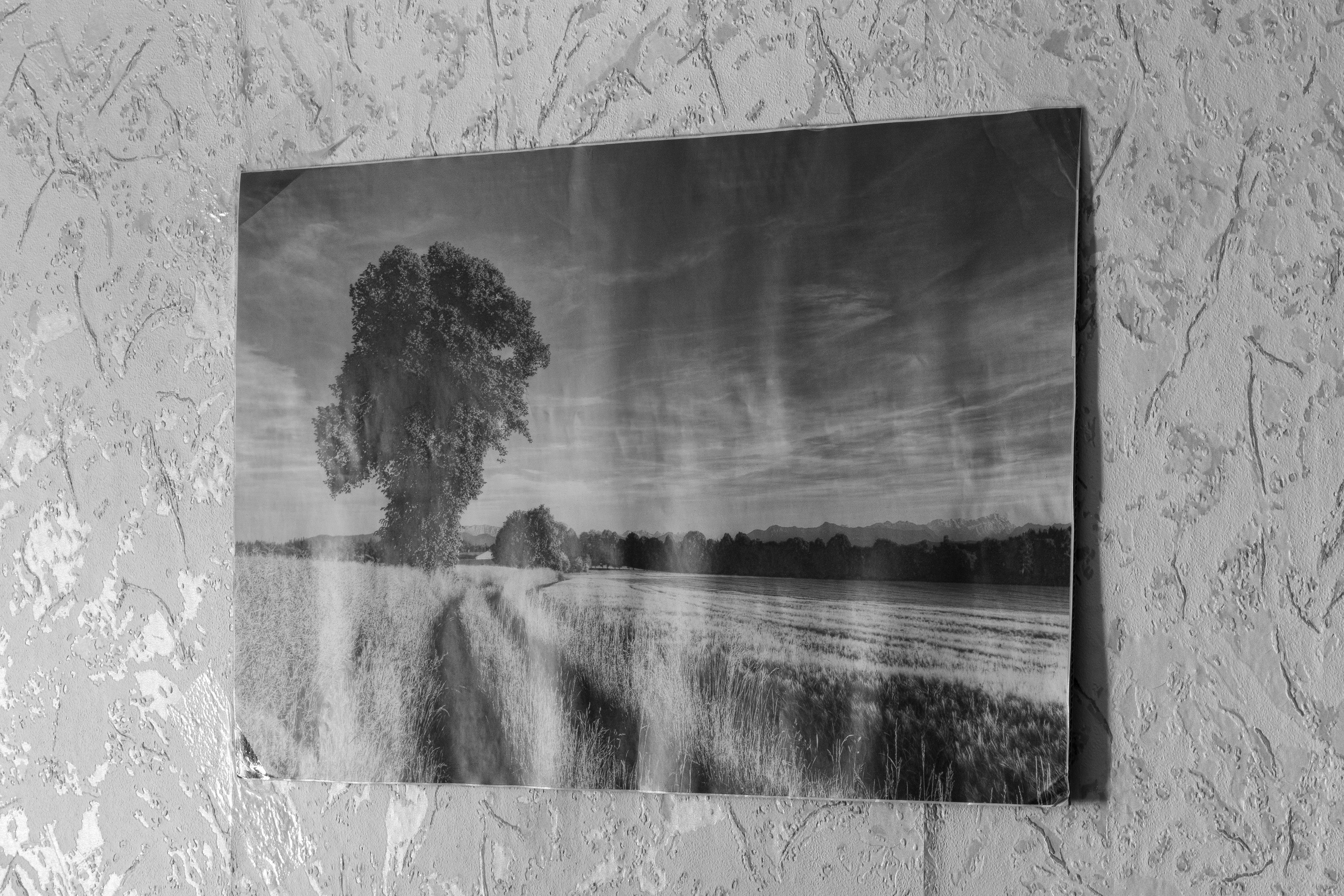 Не бойся, ибо я с тобой. Вита Строганова